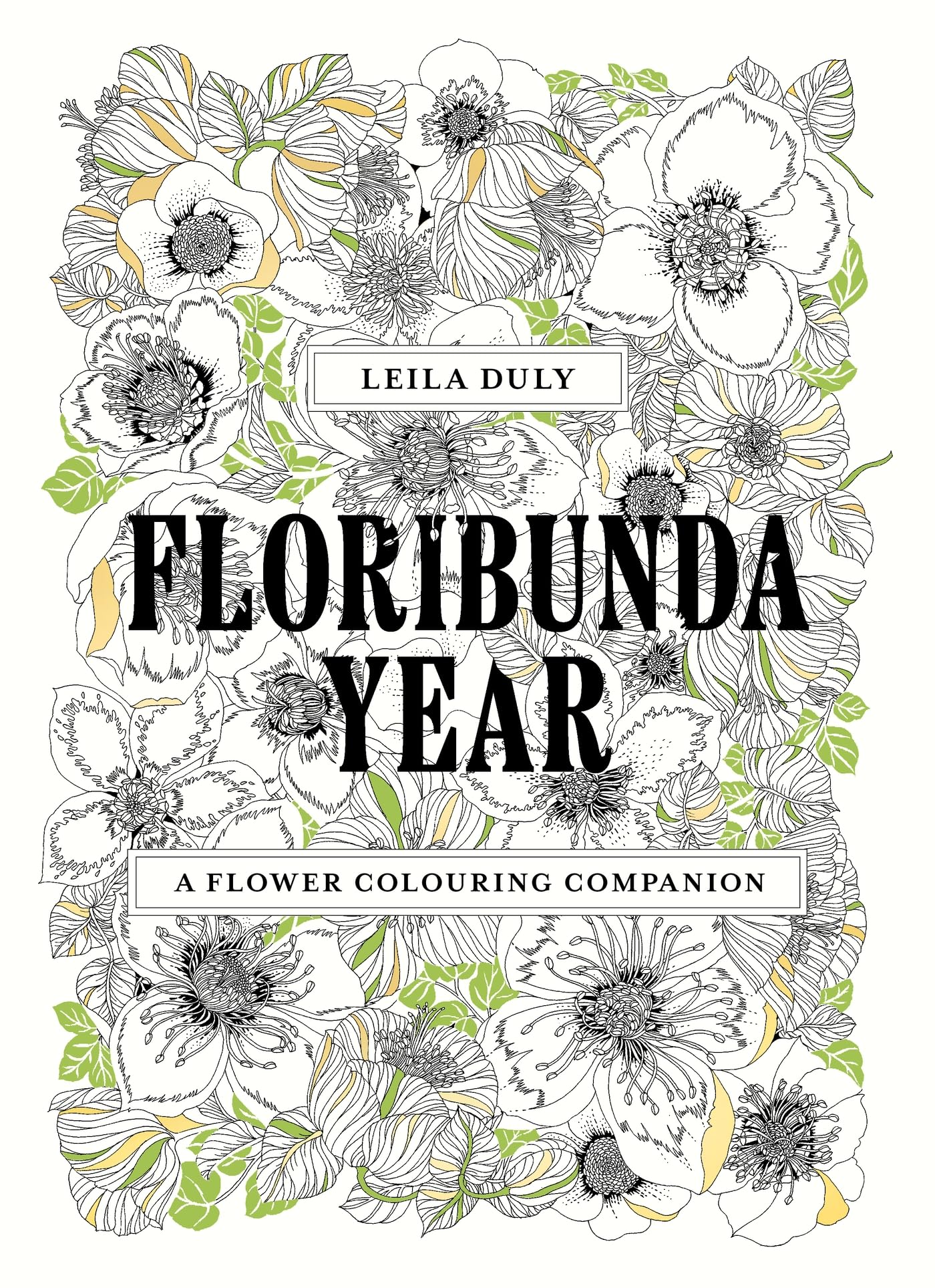 Libro: Floribunda Year: A Flower Colouring Companion