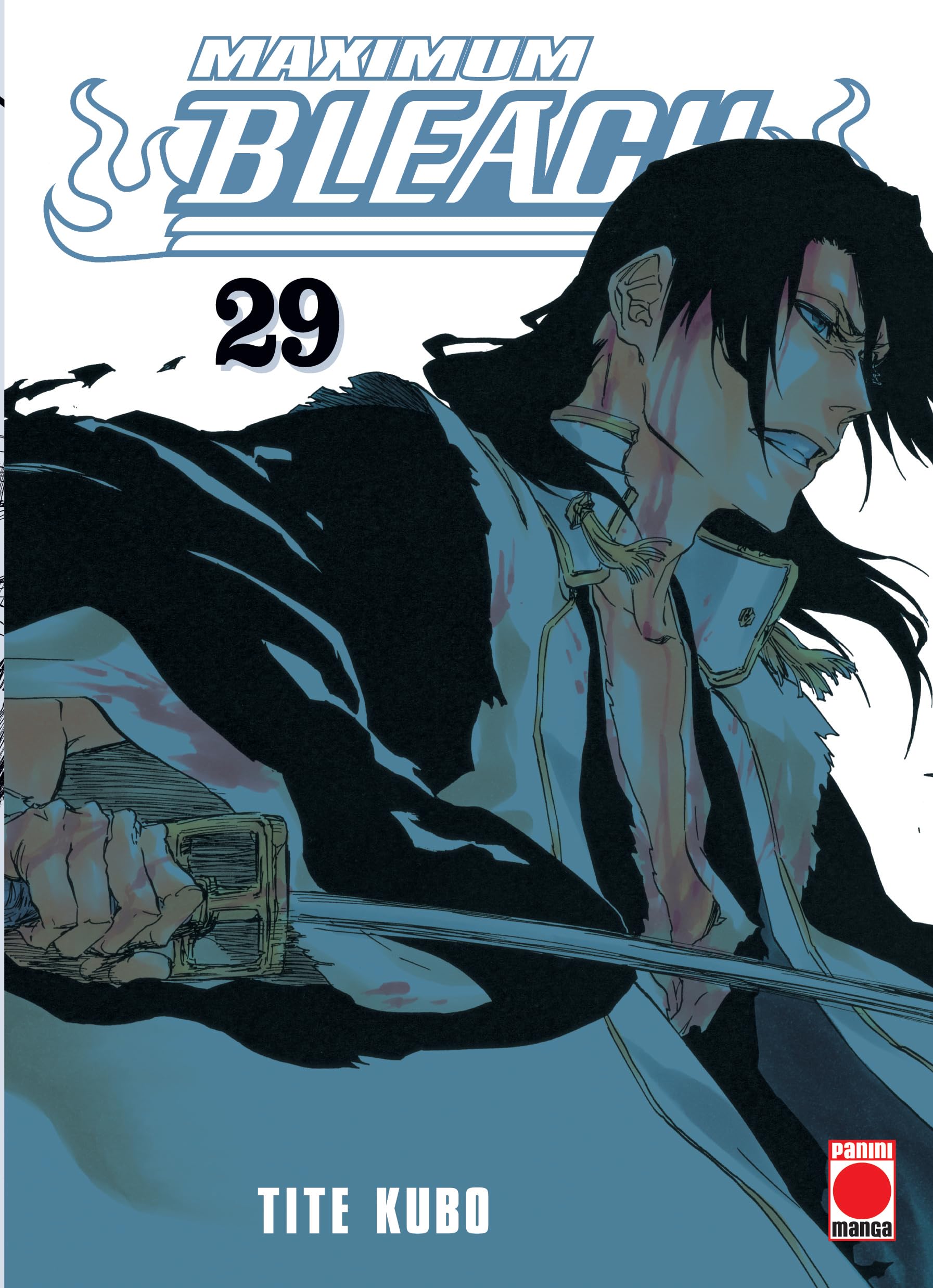 Libro: MAXIMUM BLEACH N.29