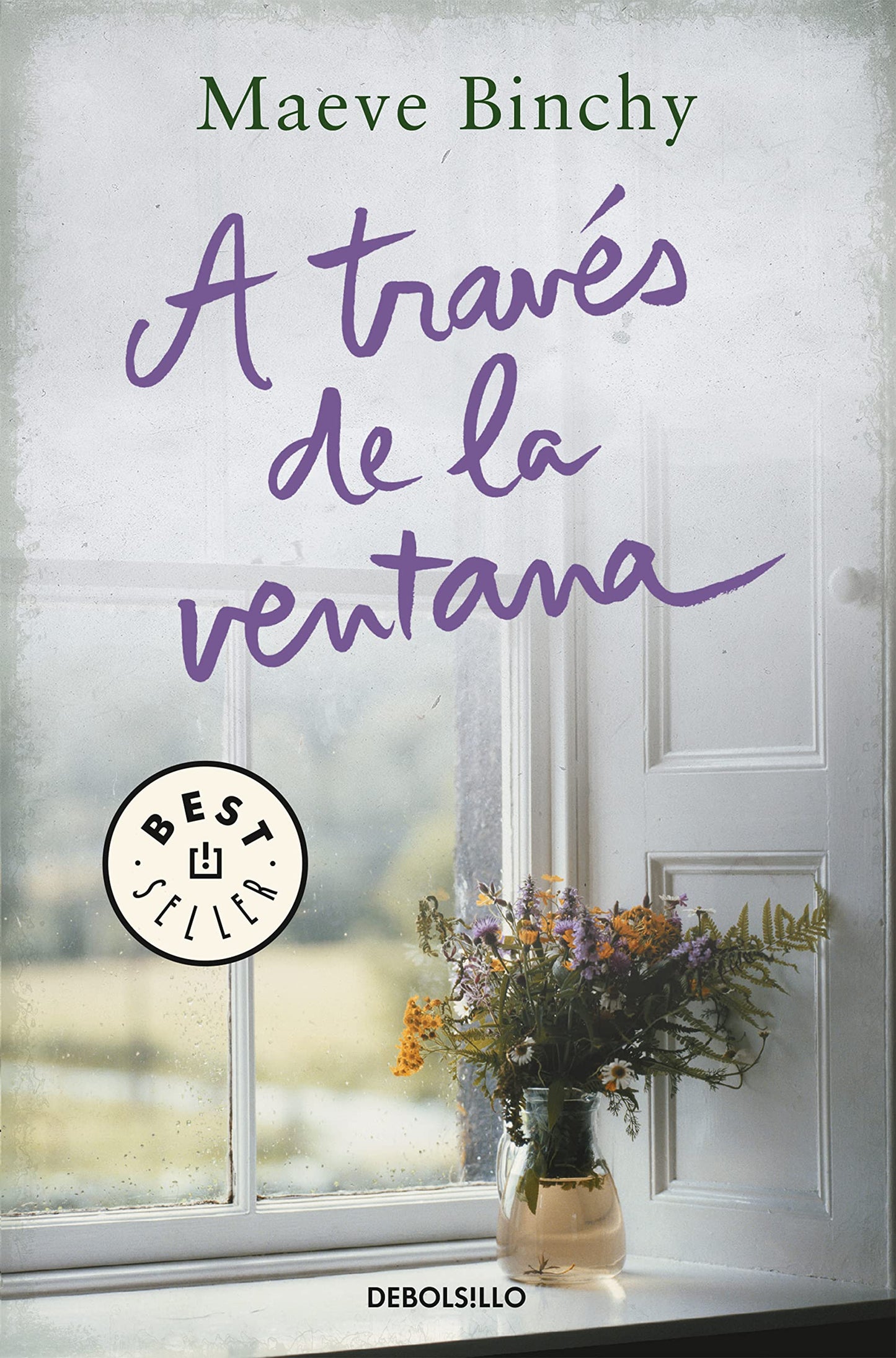 Libro: A través de la ventana