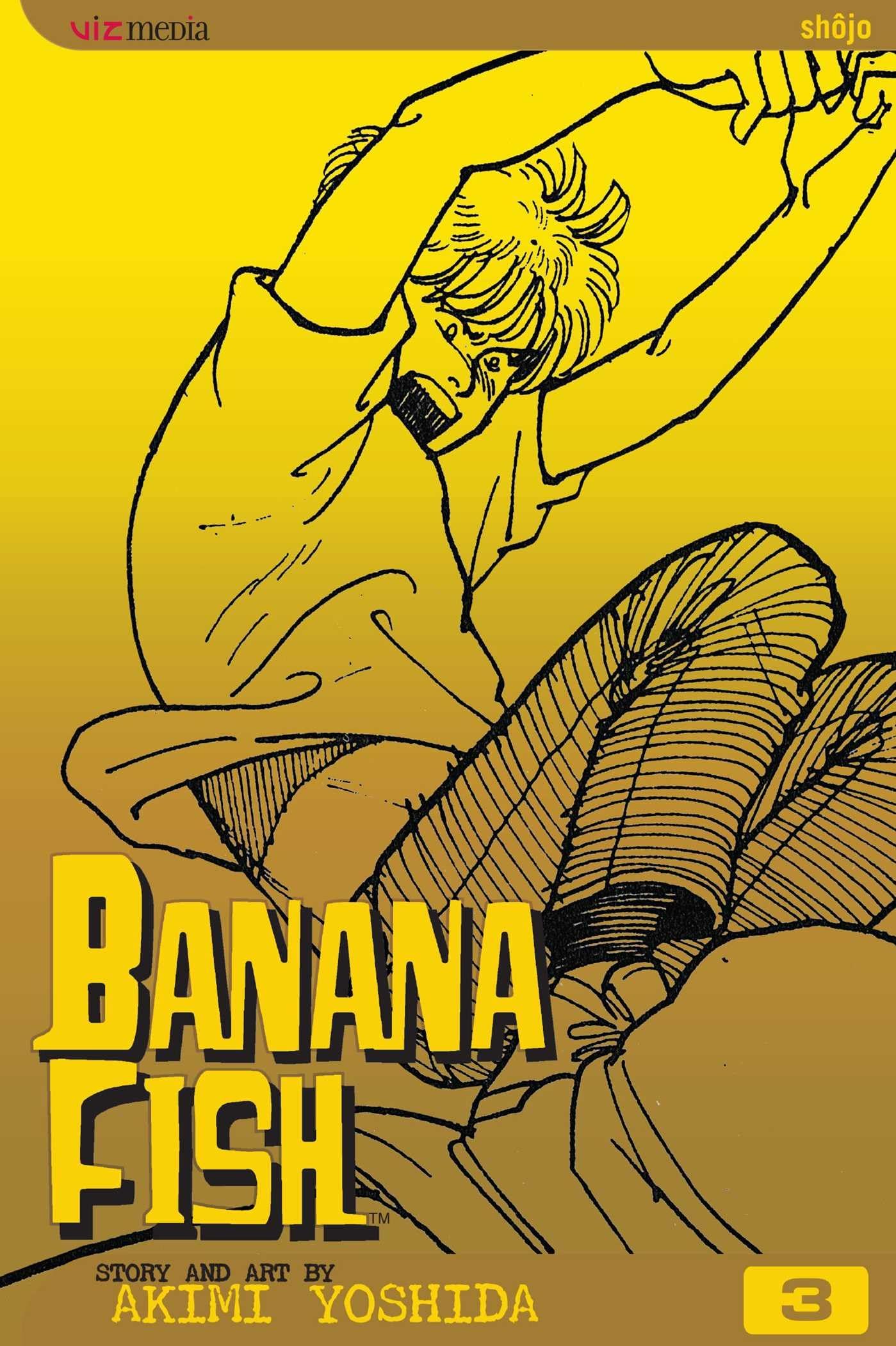 Libro: Banana Fish, Vol. 3: Volume 3