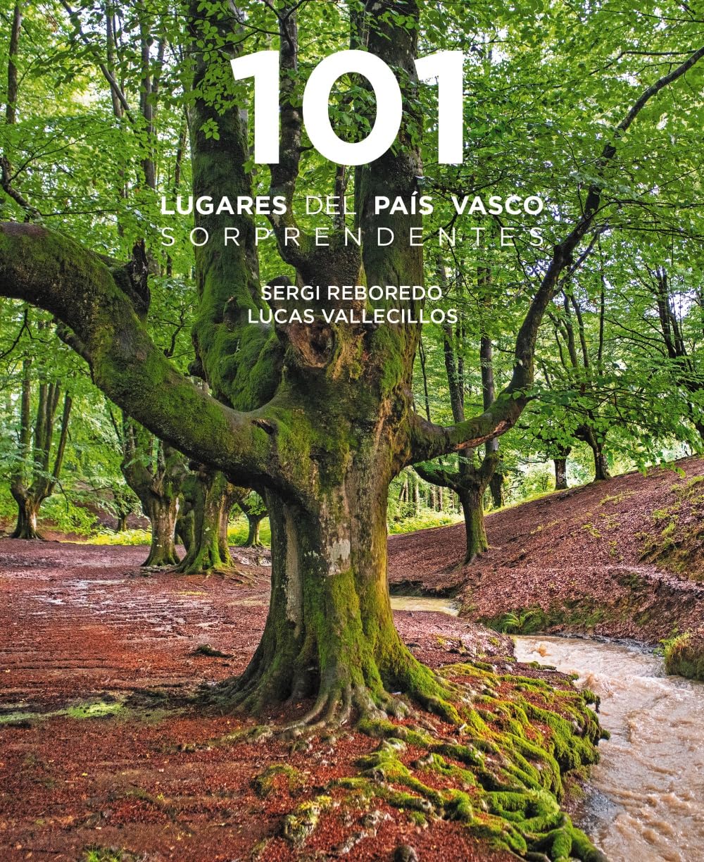 Libro: 101 Destinos del País Vasco sorprendentes
