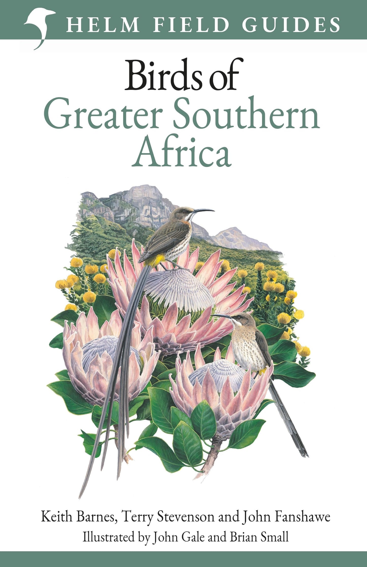Libro: Field Guide to Birds of Greater Southern Africa (Helm Field Guides)