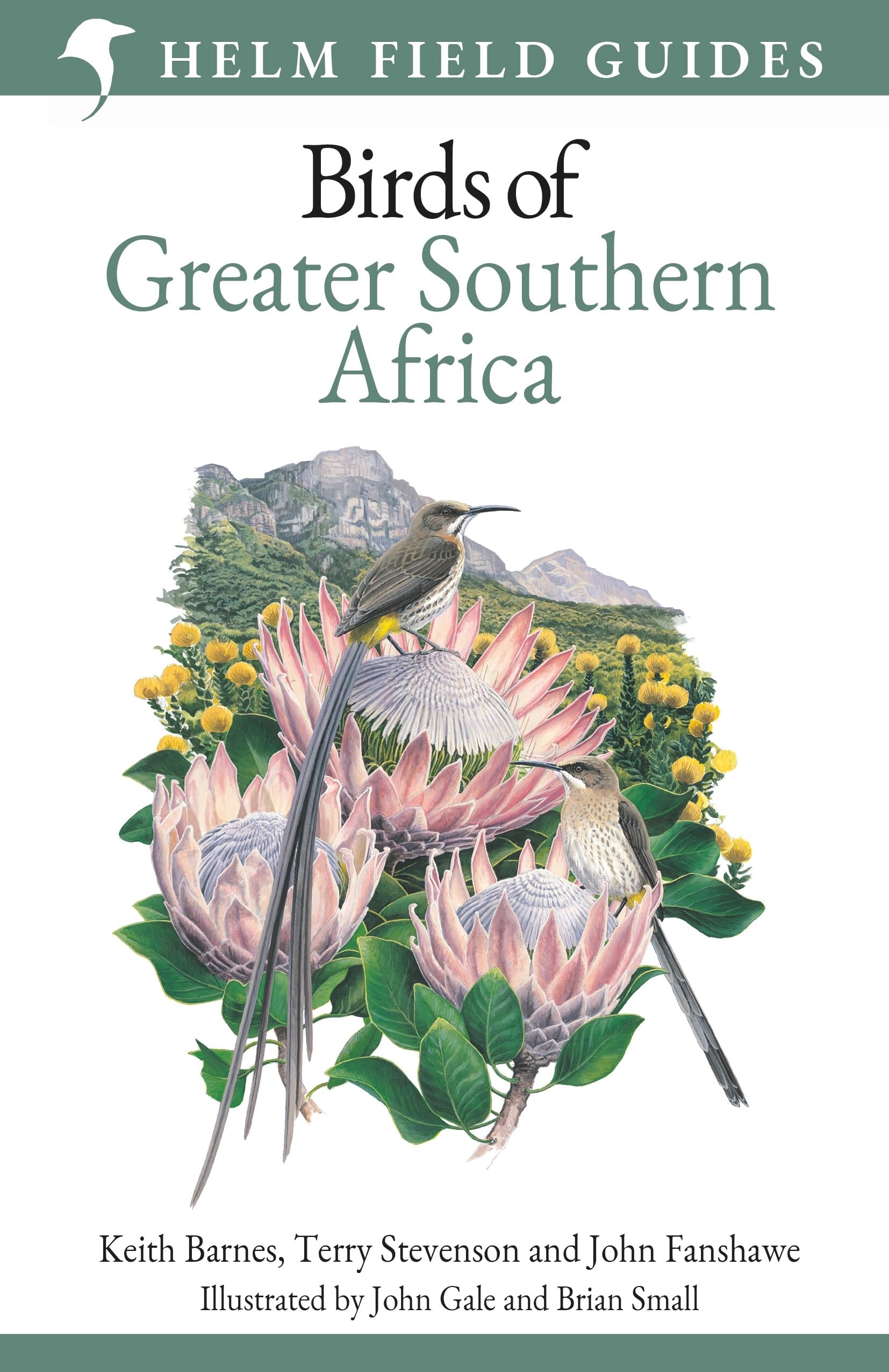 Libro: Field Guide to Birds of Greater Southern Africa (Helm Field Guides)