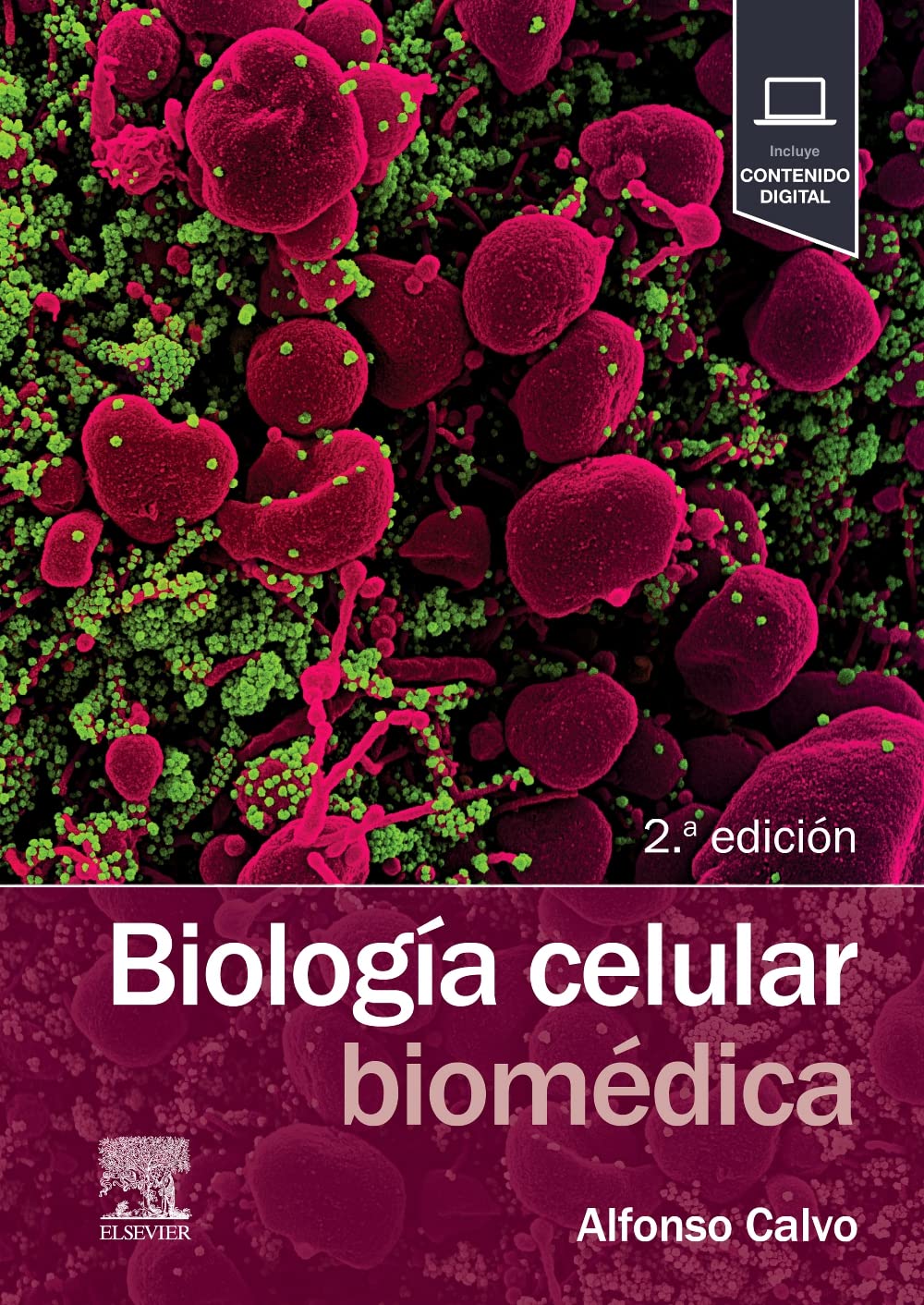 Libro: Biología celular biomédica