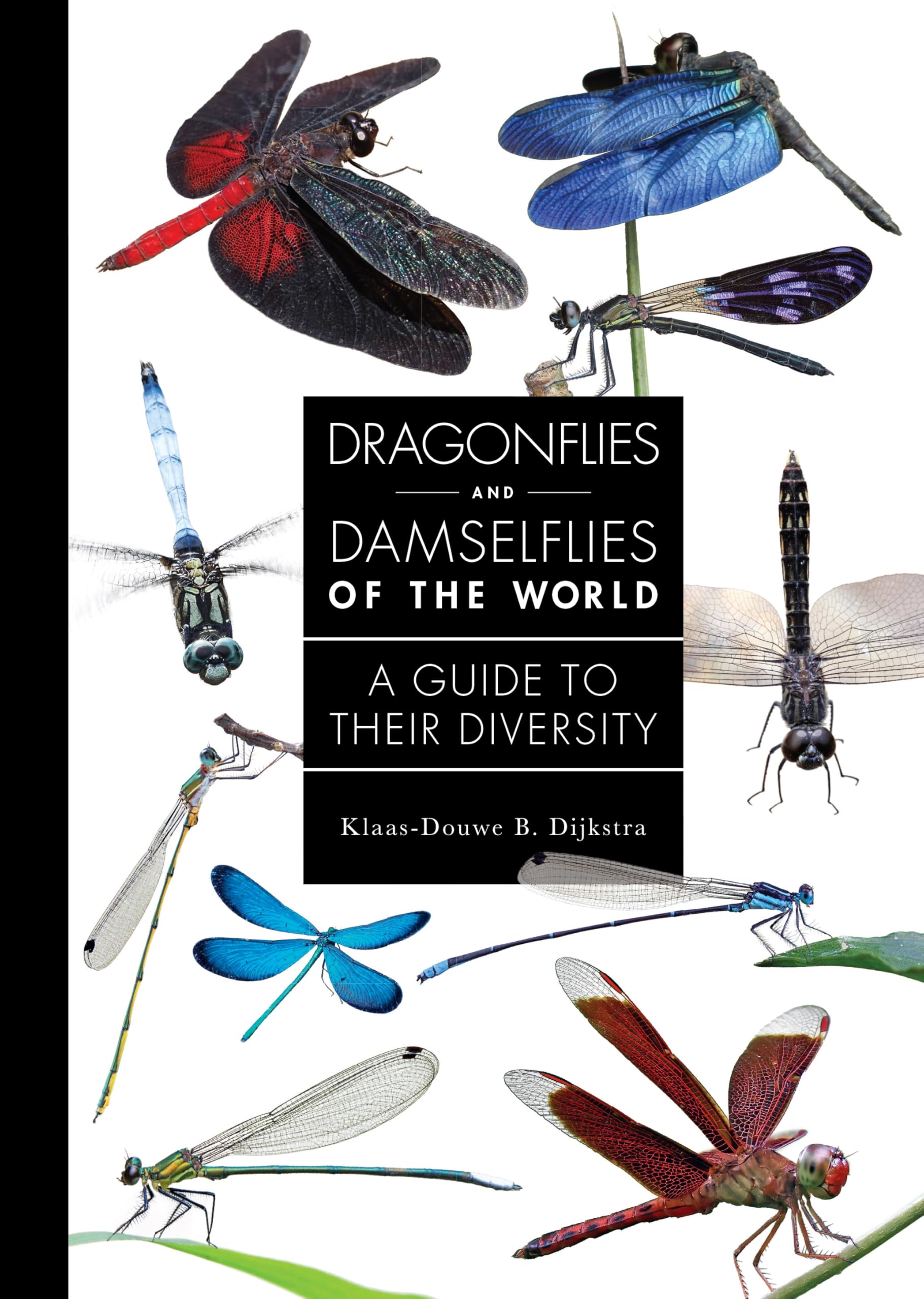 Libro: Dragonflies and Damselflies of the World: A Guide to Their Diversity (A Guide to Every Family)