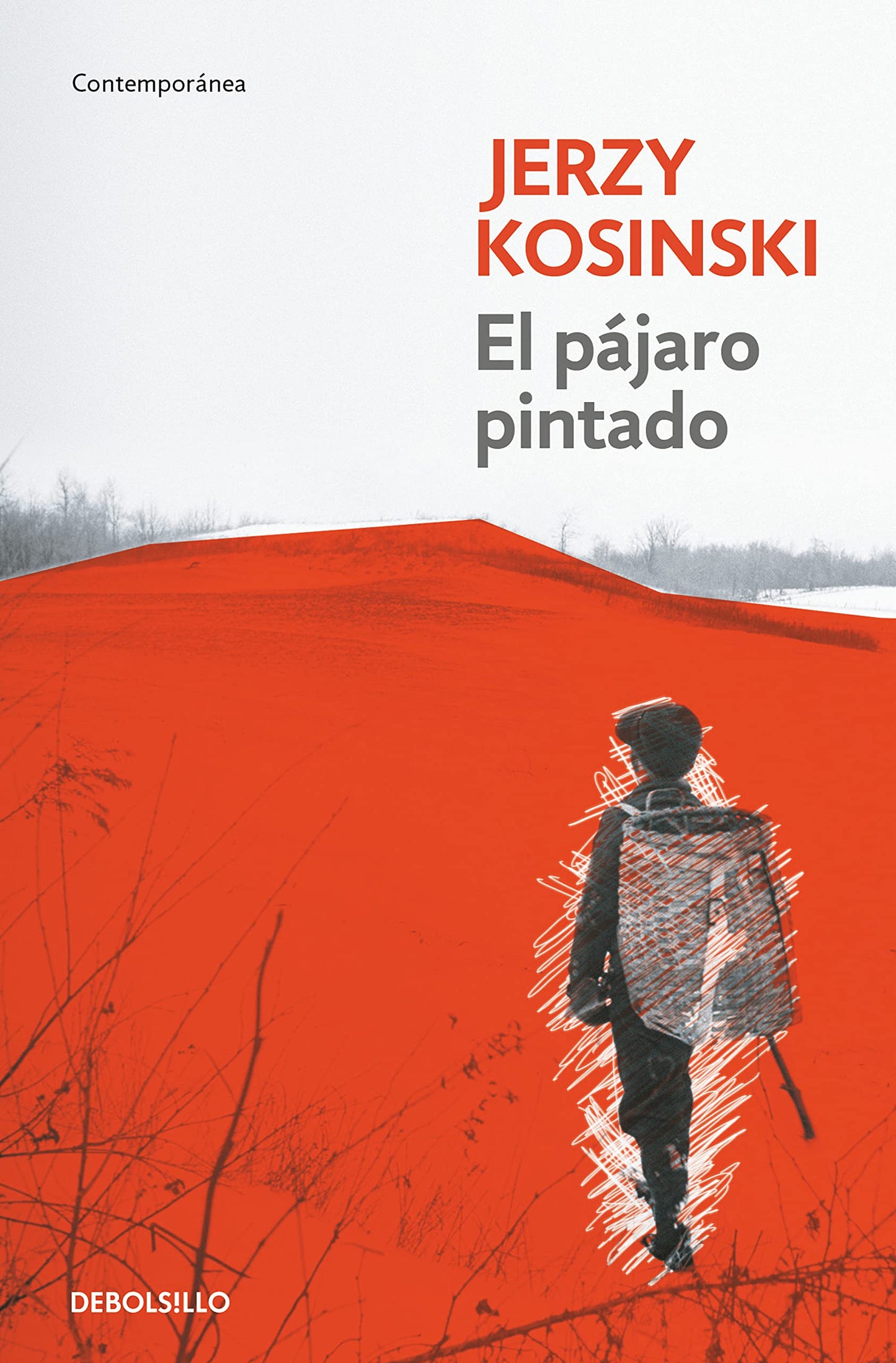 Libro: El pájaro pintado (Contemporánea/ Contemporary) (Spanish Edition)
