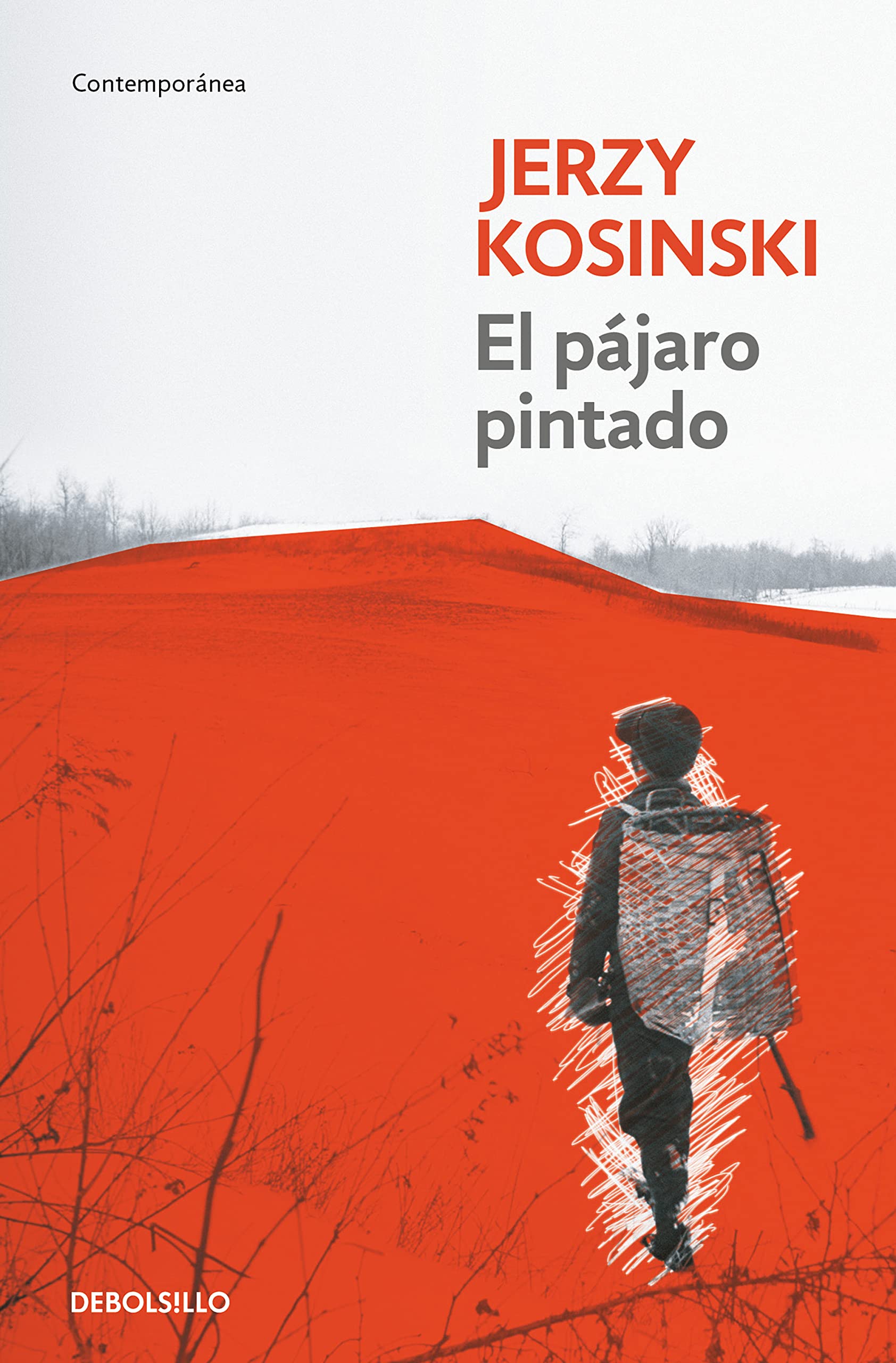 Libro: El pájaro pintado (Contemporánea/ Contemporary) (Spanish Edition)