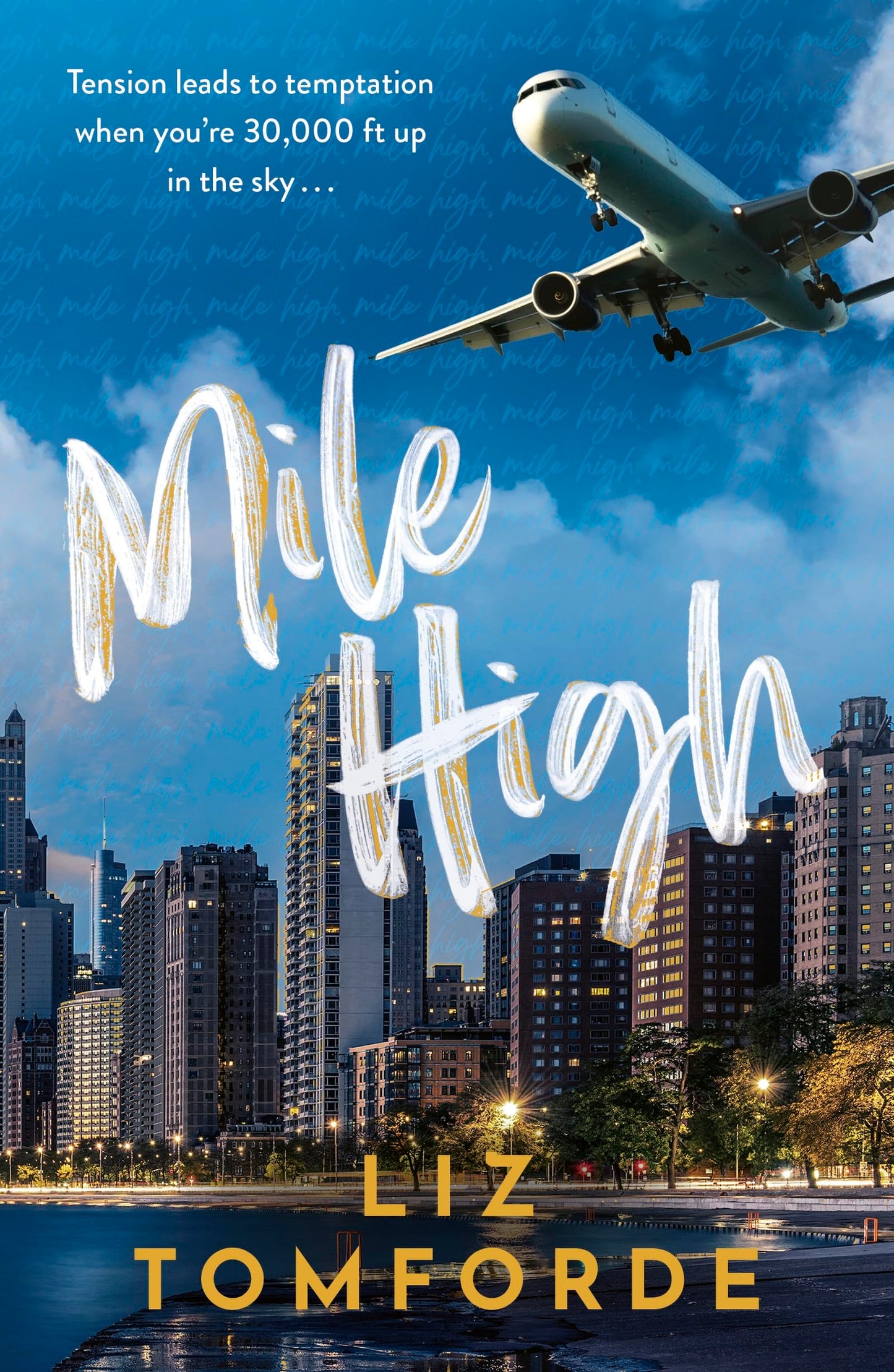 Mile High: The unputdownable first book in TikTok sensation, the Windy City series, featuring an ice hockey enemies-to-lovers sports romance: 1