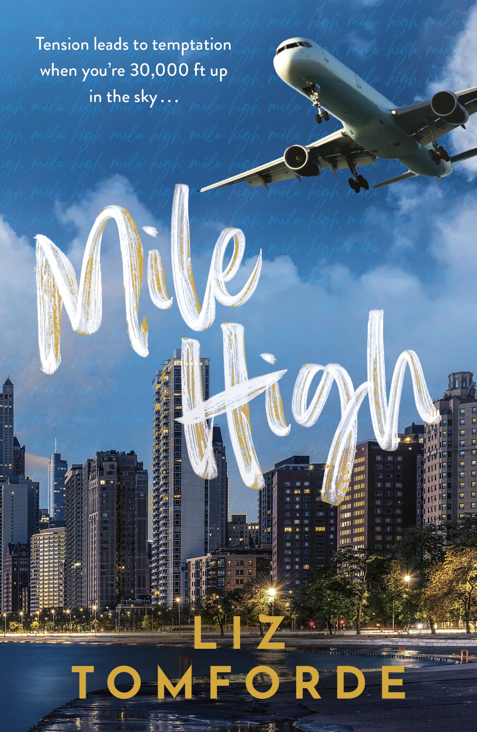 Mile High: The unputdownable first book in TikTok sensation, the Windy City series, featuring an ice hockey enemies-to-lovers sports romance: 1