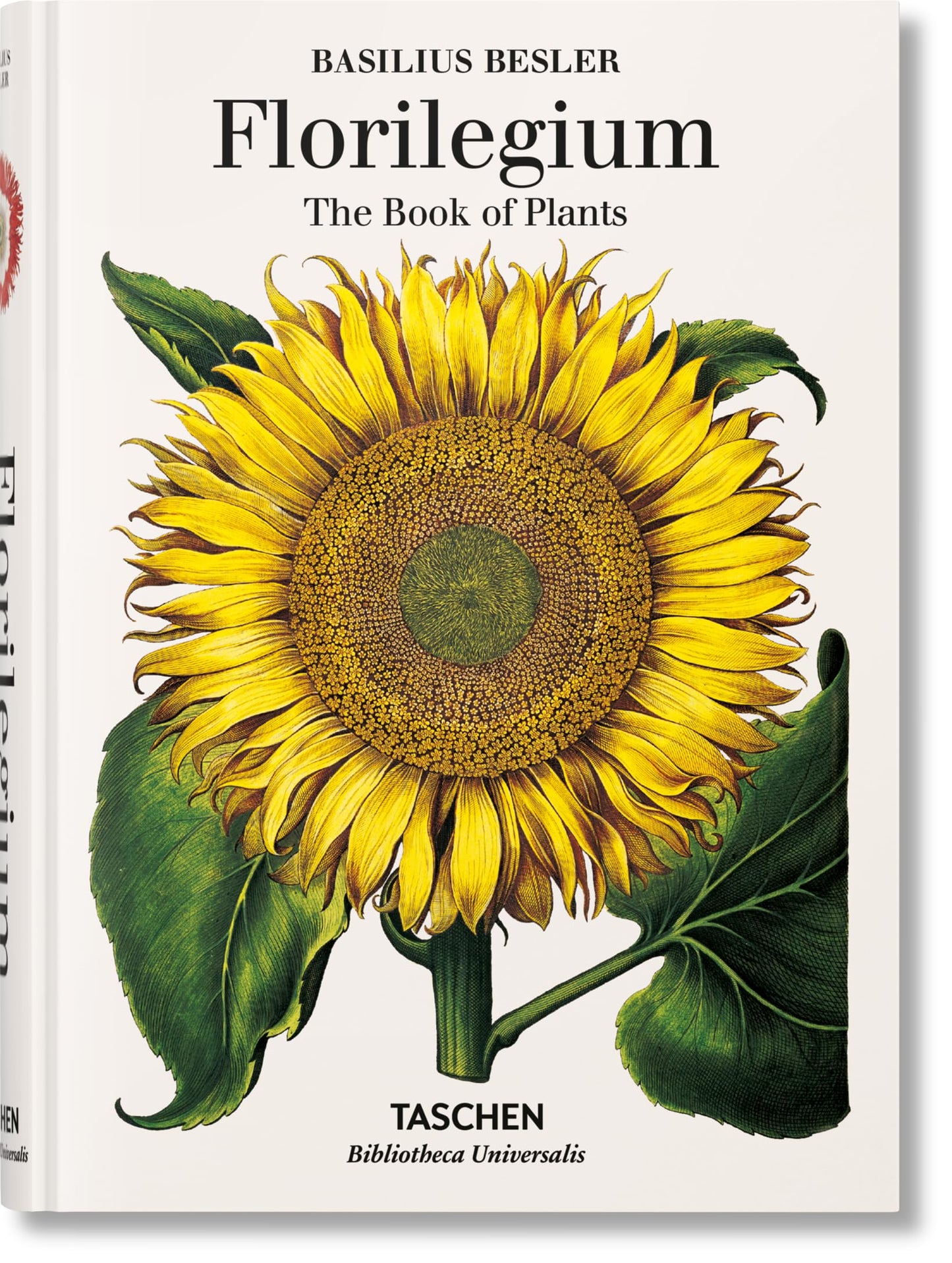 Libro: Basilius Besler: Florilegium. The Book of Plants (Bibliotheca Universalis)
