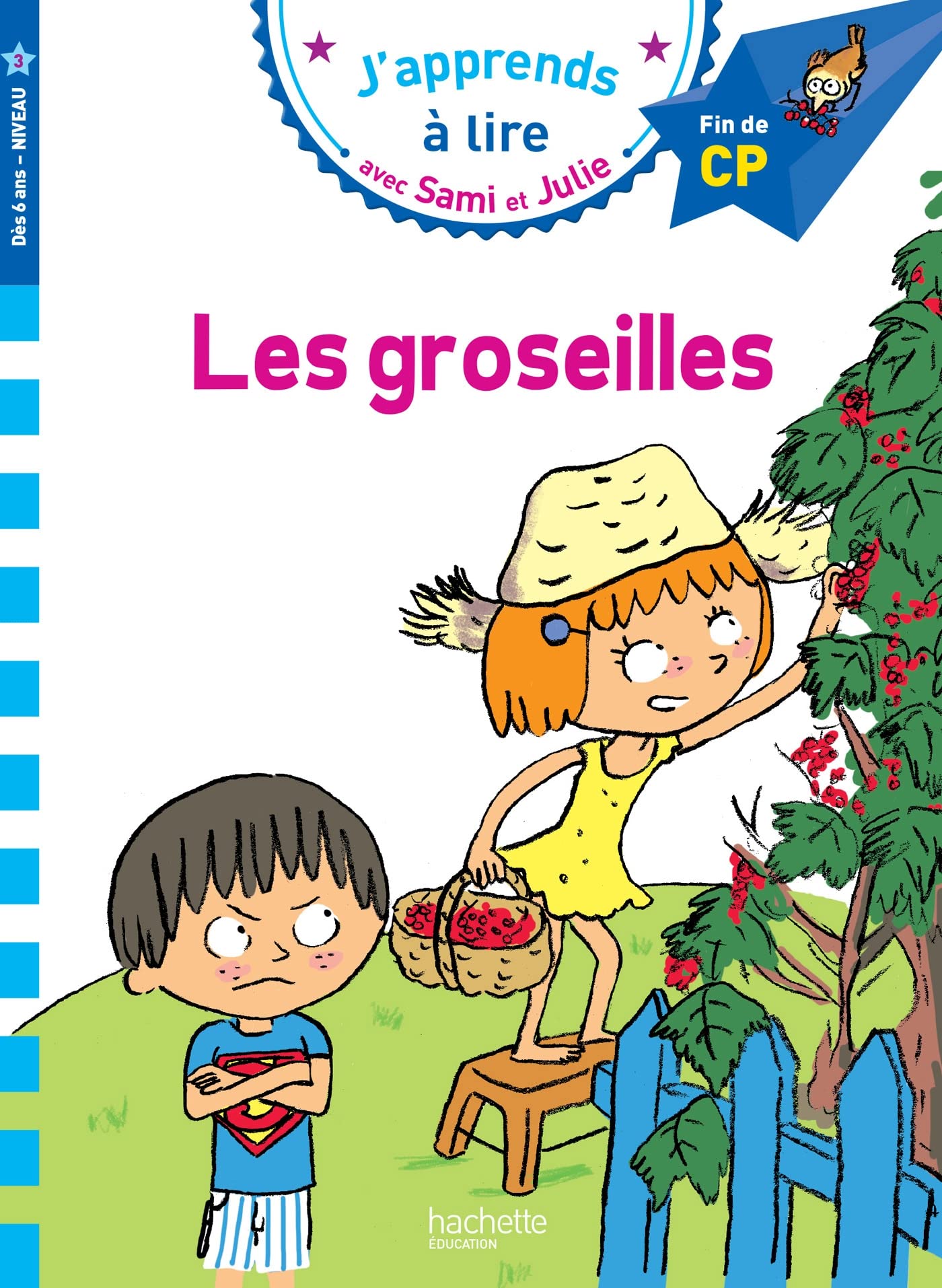 Libro: LES GROSEILLES: Fin de CP, niveau 3 (HACHETTE)