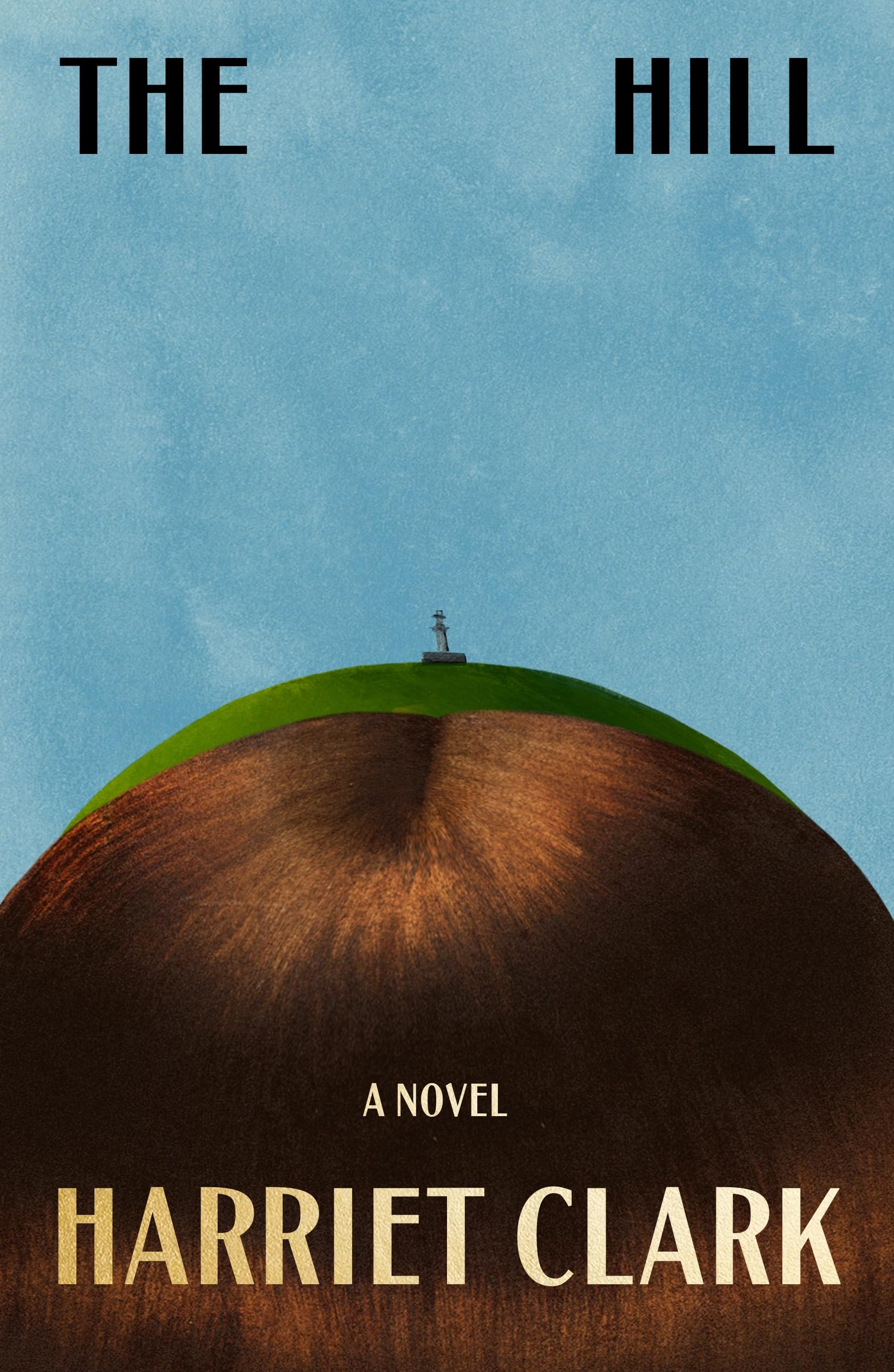 Libro: The Hill: A Novel