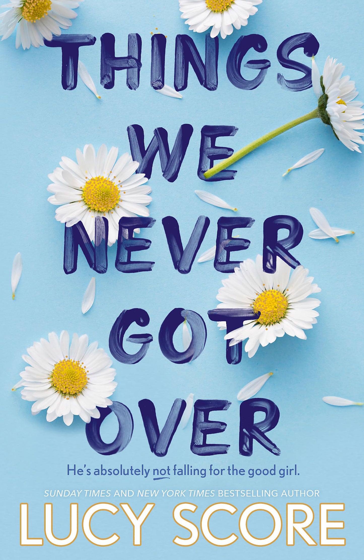 Libro: Things we never got over
