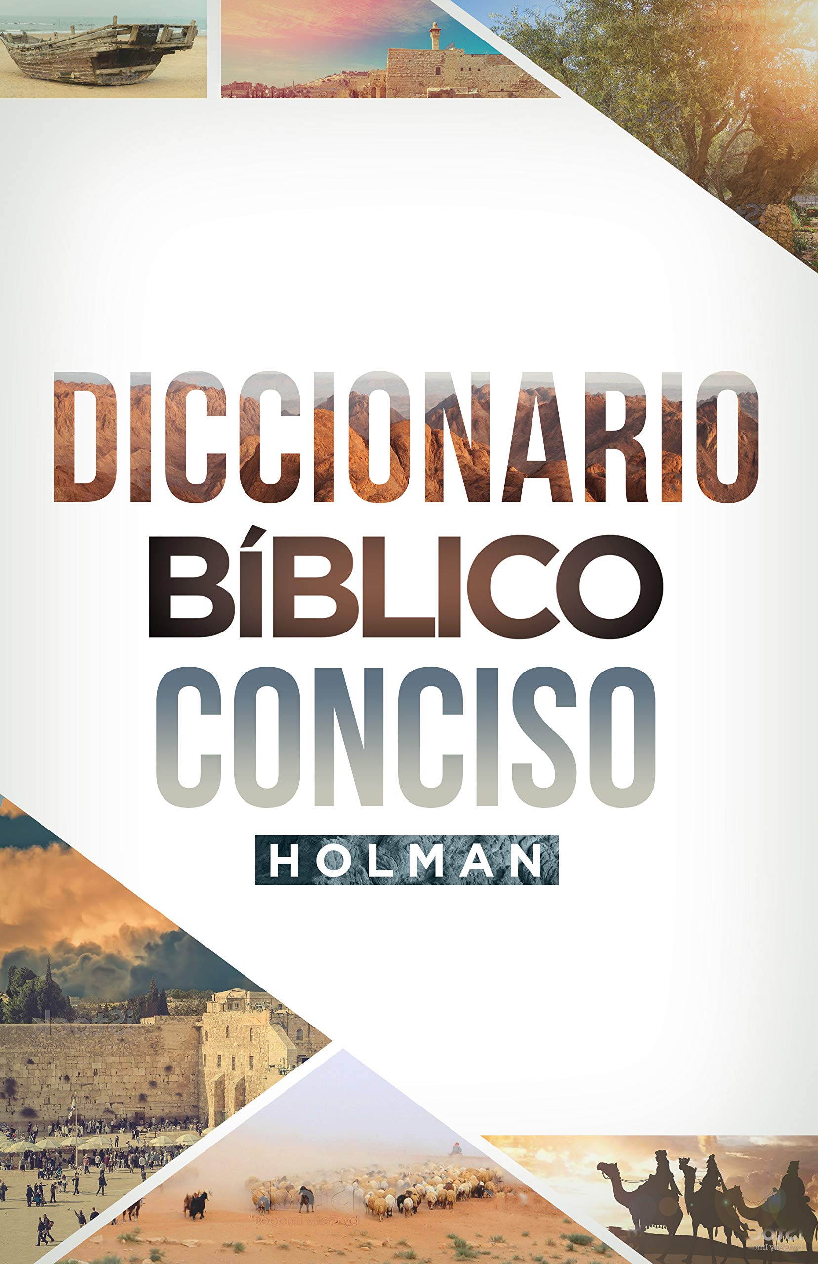 Libro: Diccionario Bíblico Conciso Holman (Spanish Edition)
