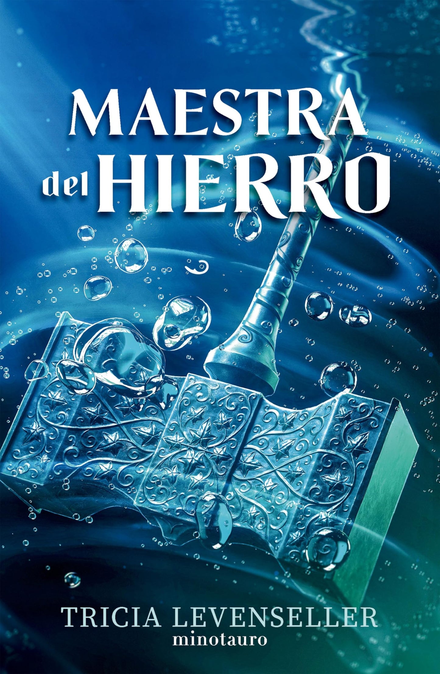 Libro: Forjadora de espadas nº 02 Maestra del hierro: 2 (Fantasía)