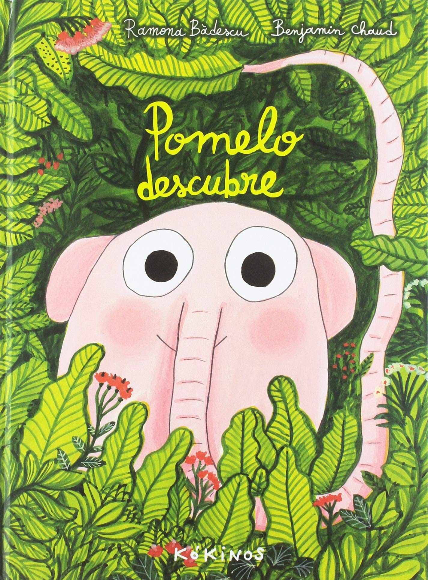 Libro: Pomelo descubre (INFANTIL JUVENIL)