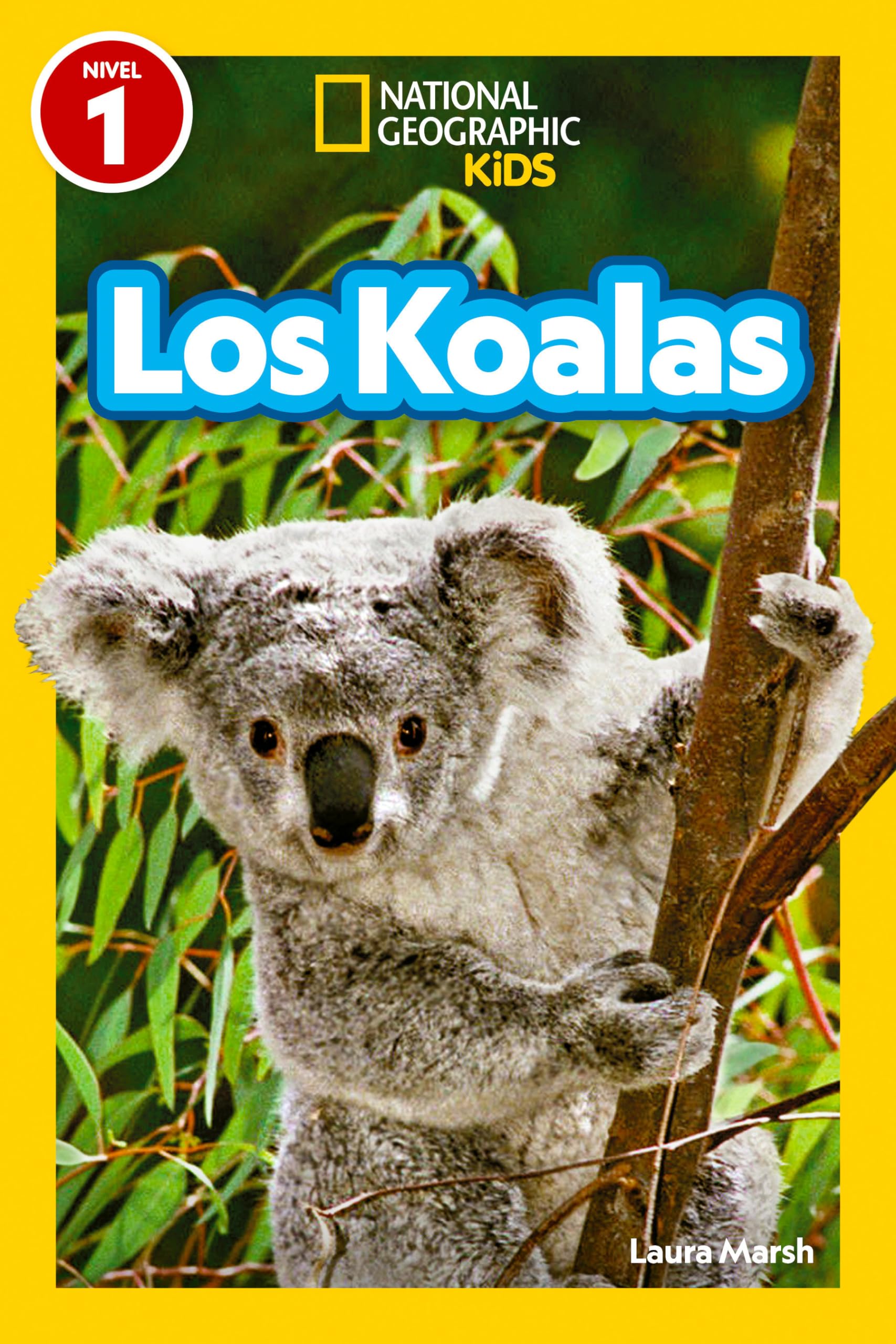 Libro: National Geographic Readers: Los Koalas (Nivel 1)