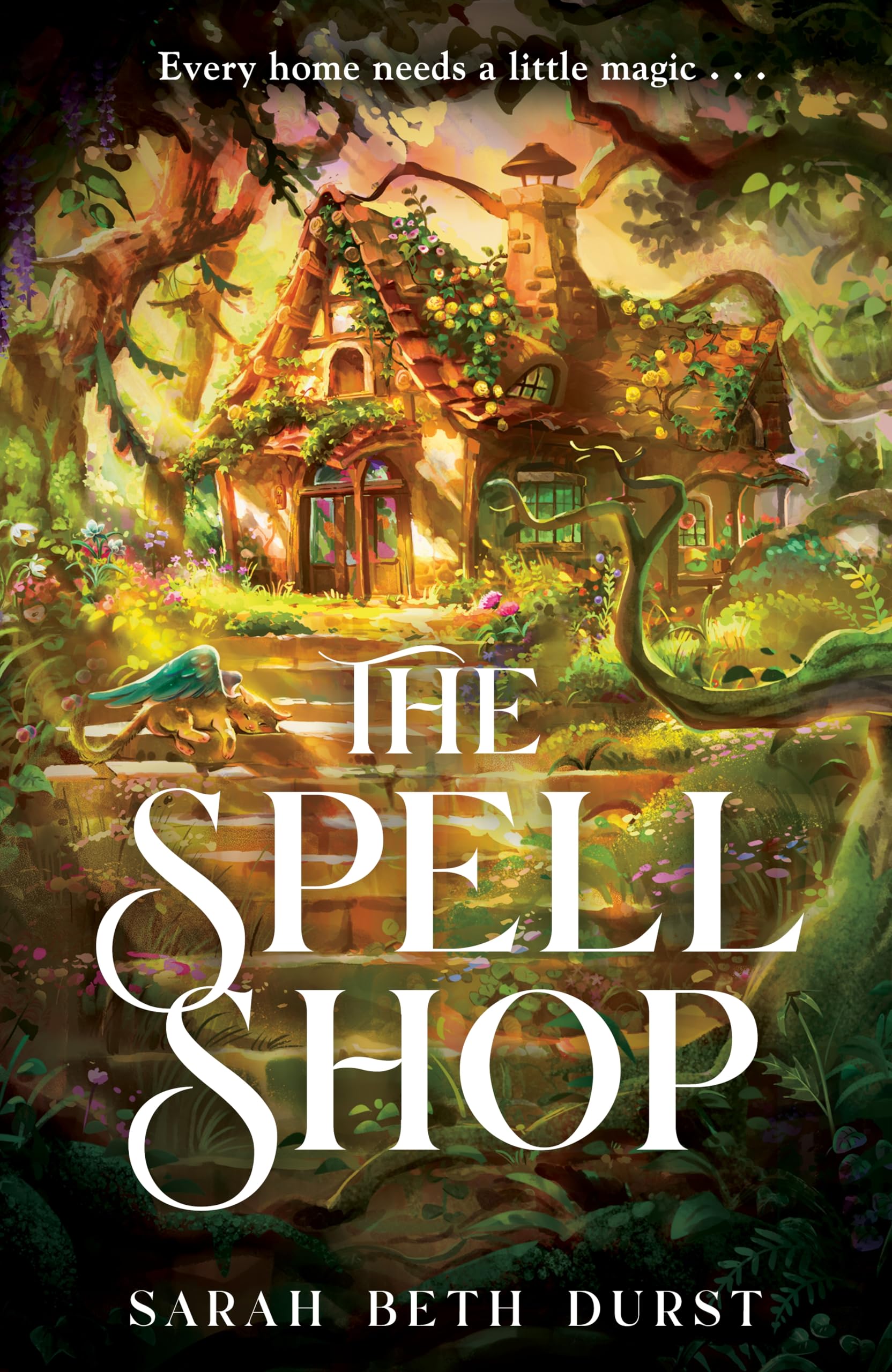 Libro: The Spellshop