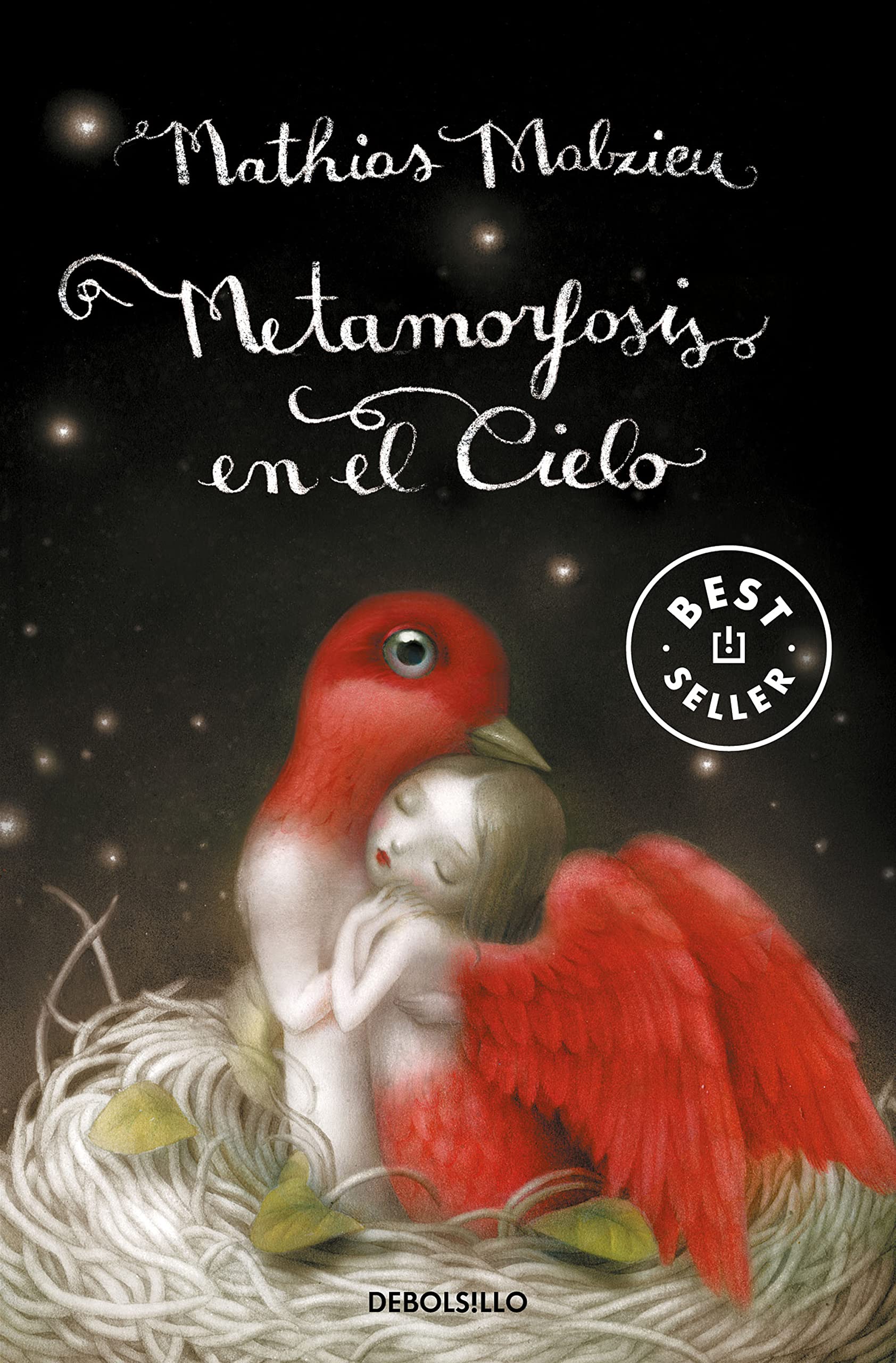Libro: Metamorfosis en el cielo (Spanish Edition)