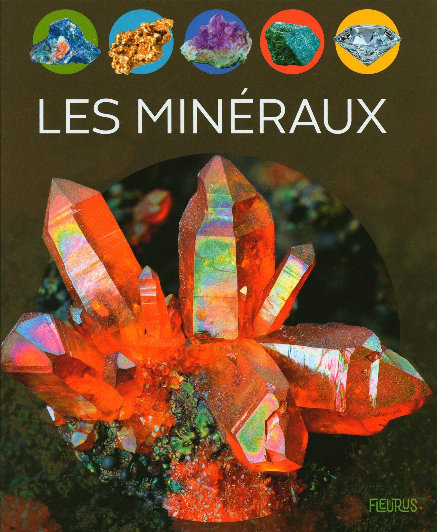 Libro: Les minéraux