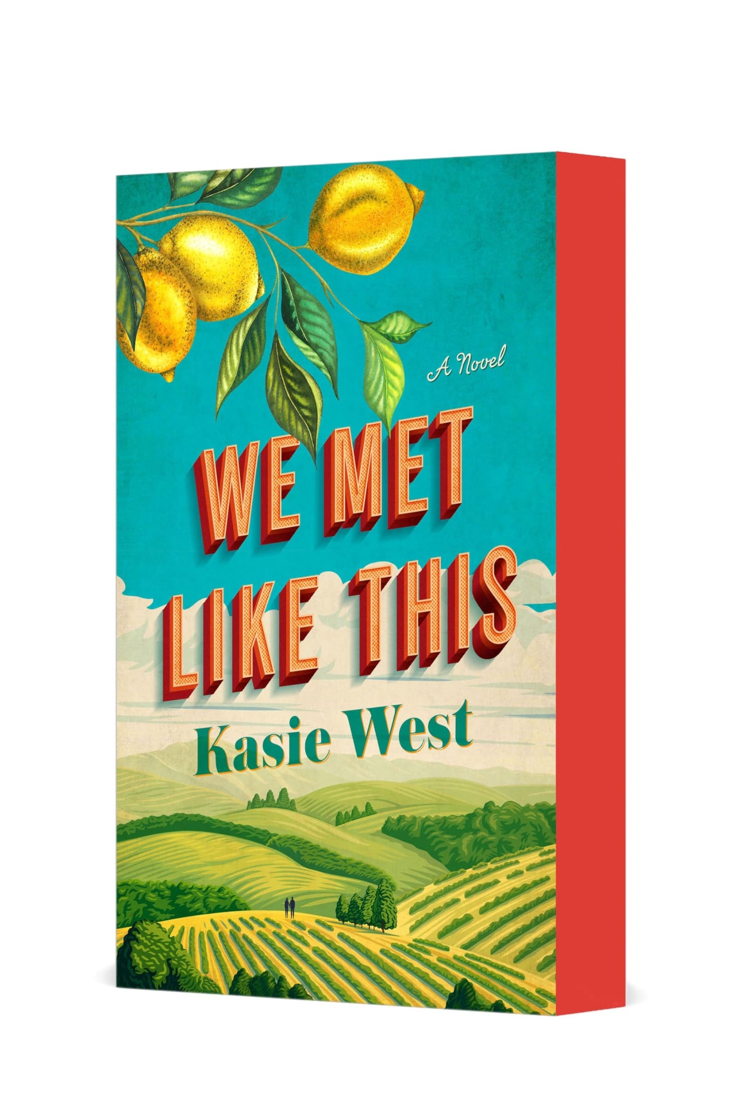 Libro: We Met Like This: A Novel