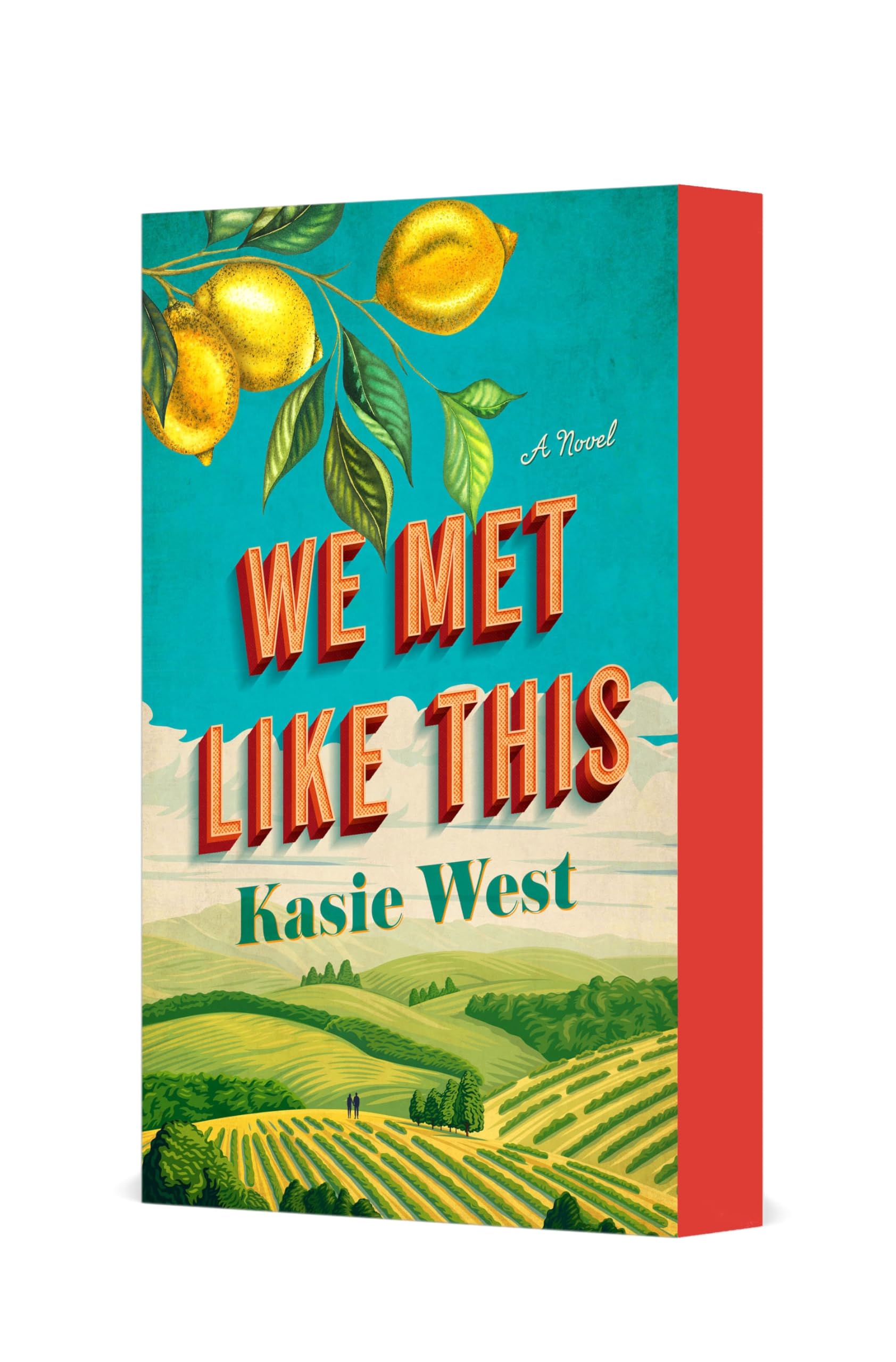 Libro: We Met Like This: A Novel