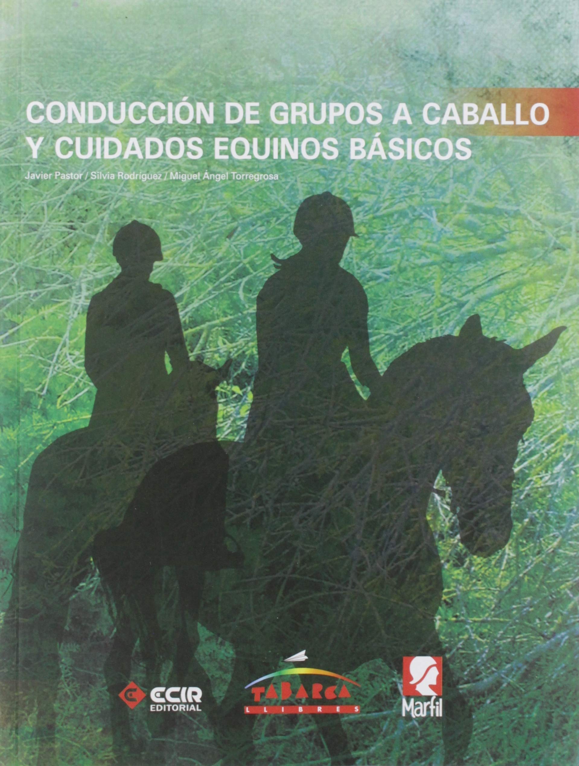 Libro: CONDUC.GRUPOS CABALLO Y CUID.EQUINOS BÁSICOS