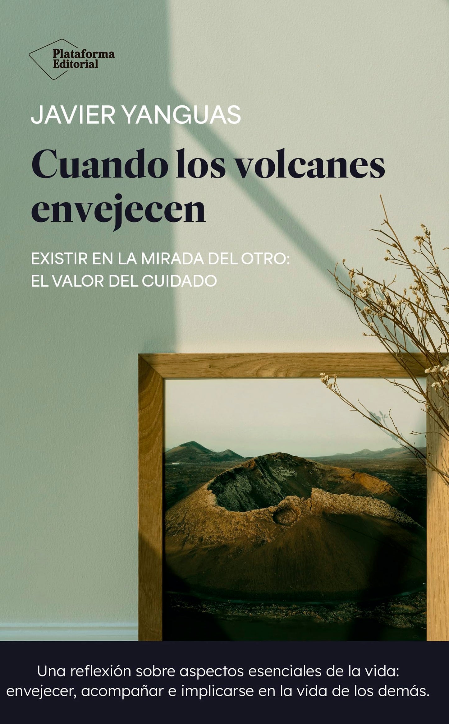 Libro: Cuando los volcanes envejecen: Existir en la mirada del otro: el valor del cuidado