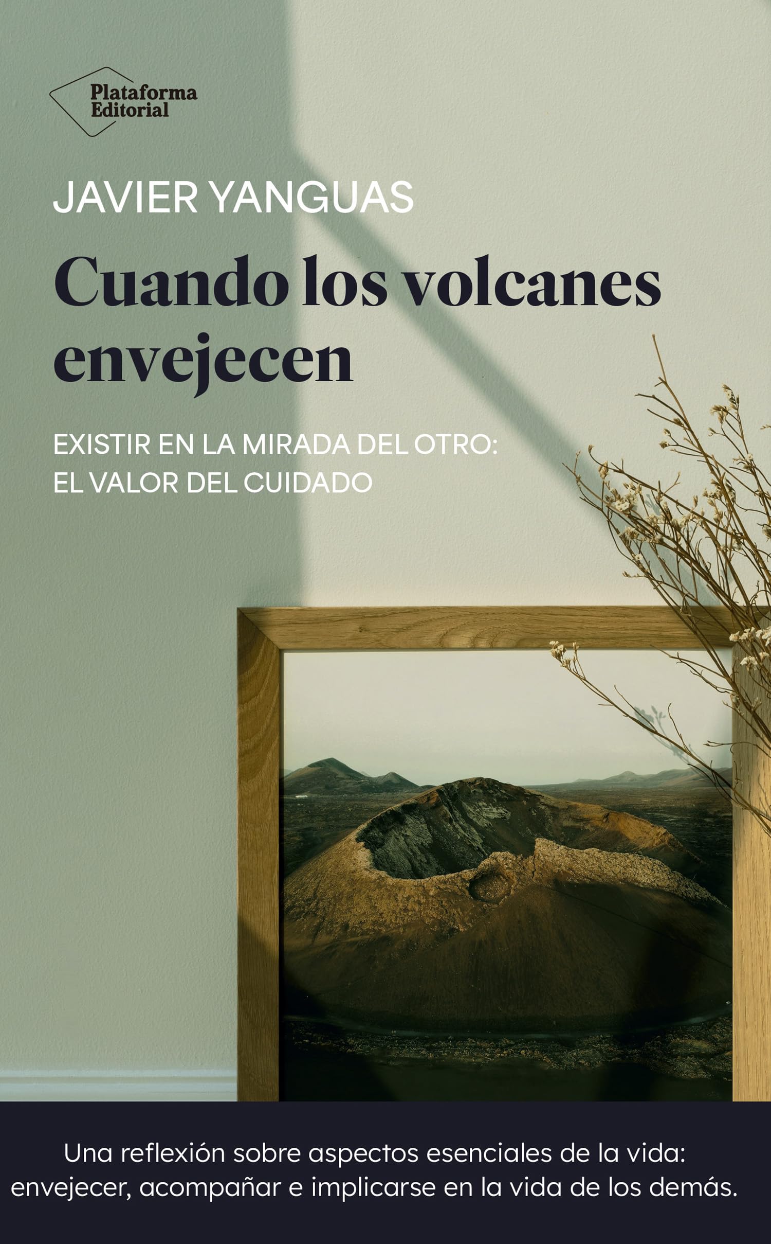 Libro: Cuando los volcanes envejecen: Existir en la mirada del otro: el valor del cuidado