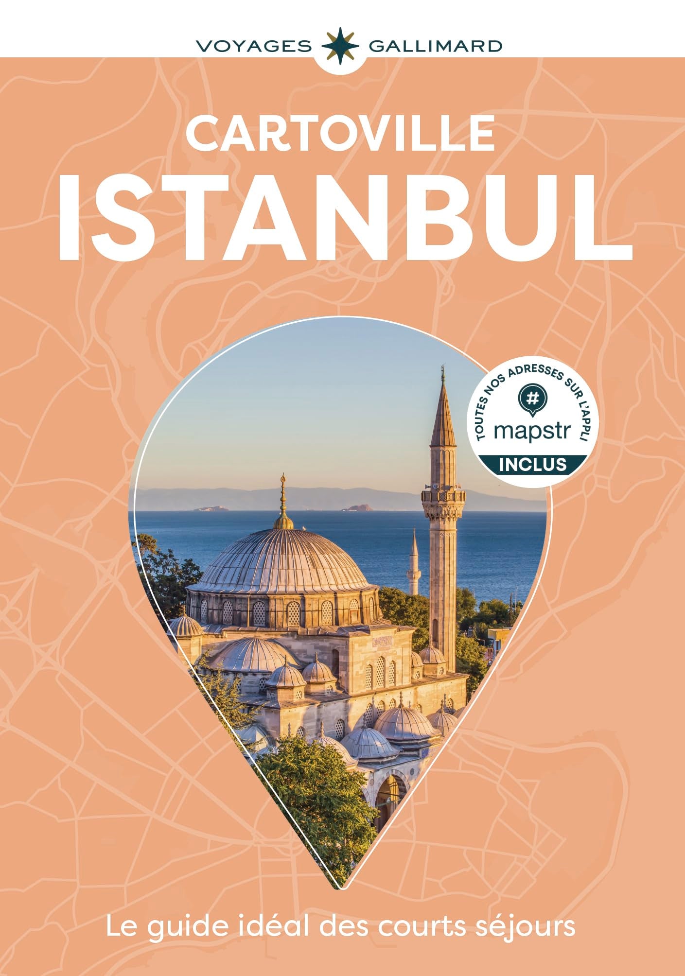 Libro: Istanbul: Guide Cartoville