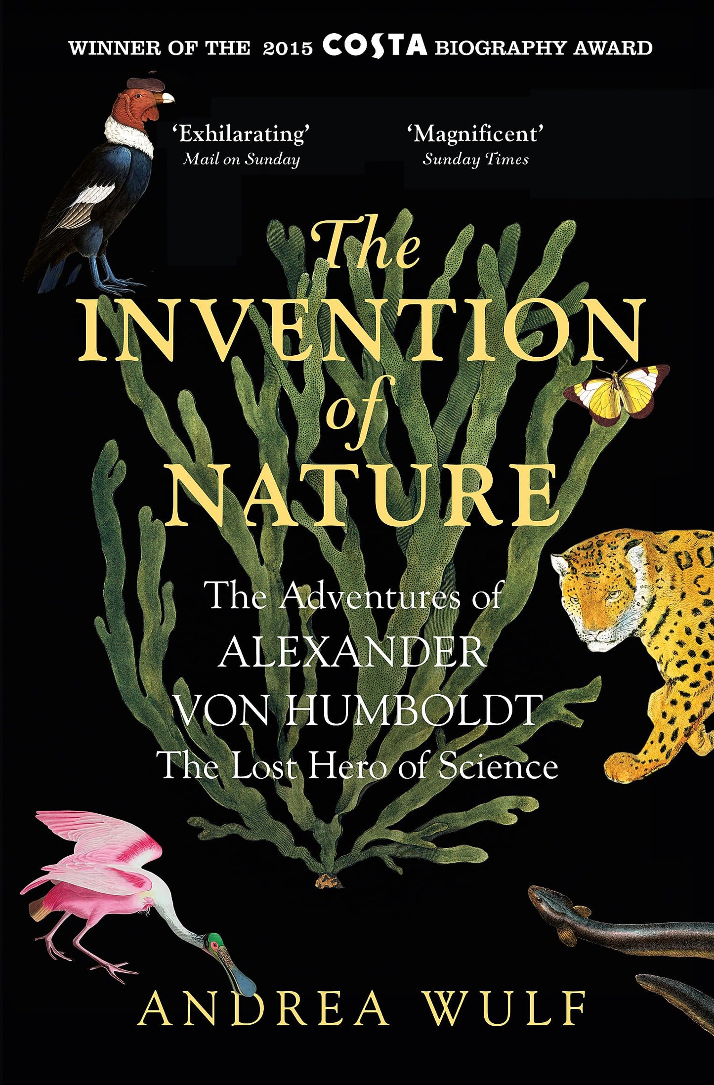 The Invention Of Nature: the adventures of Alexander von Humboldt, the lost hero of science