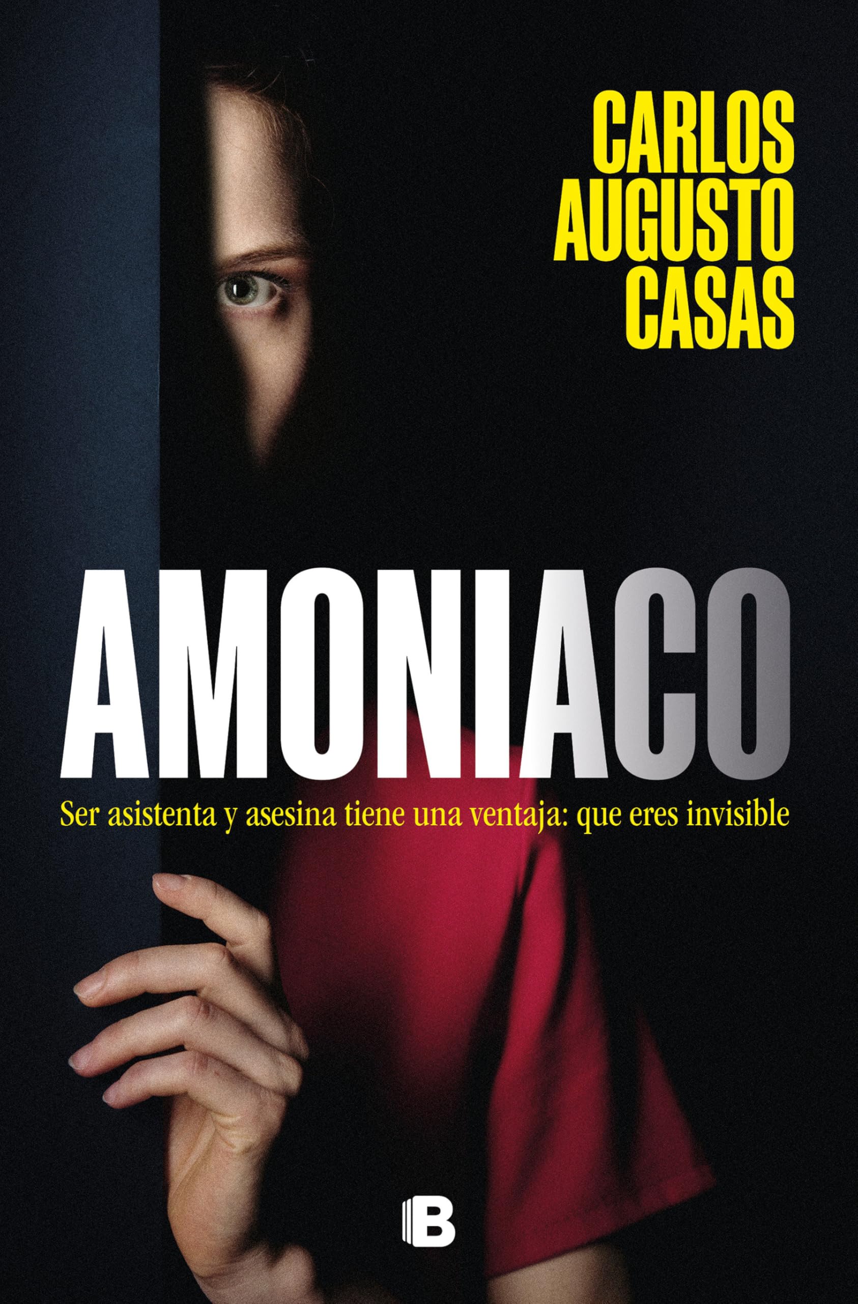 Libro: Amoniaco: Ser asistenta y asesina tiene una ventaja; Que eres invisible (La Trama)