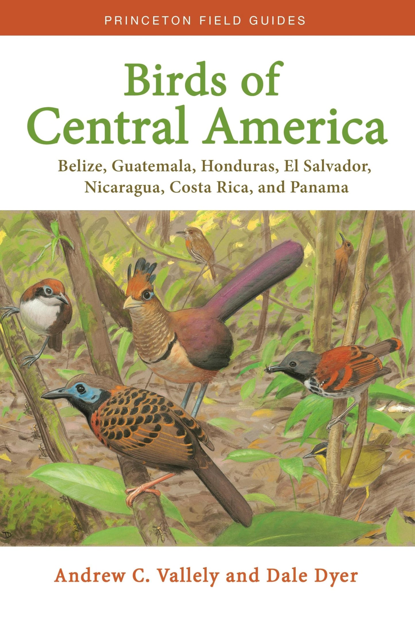 Libro: Birds of Central America: Belize, Guatemala, Honduras, El Salvador, Nicaragua, Costa Rica, and Panama (Princeton Field Guides)