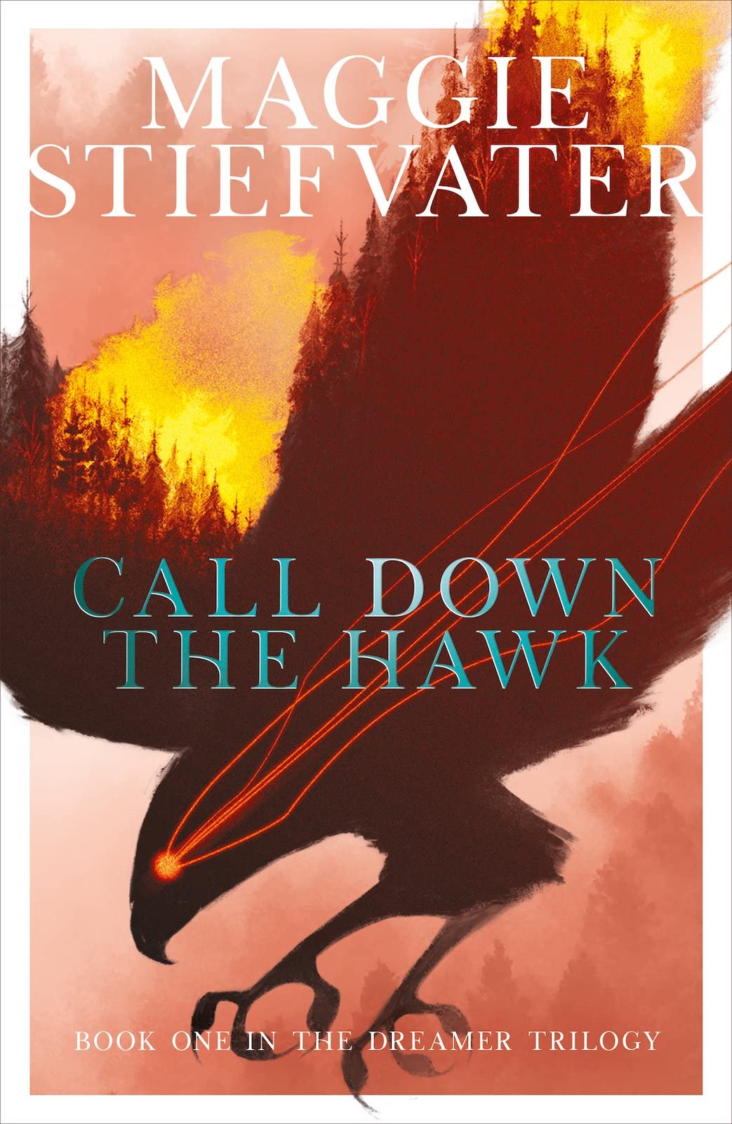 Libro: Call Down the Hawk: The Dreamer Trilogy #1