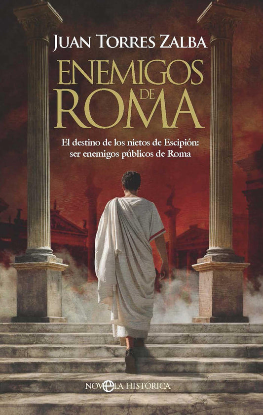Enemigos de Roma: El destino de los nietos de Escipión: ser enemigos públicos de Roma (NOVELA HISTORICA)