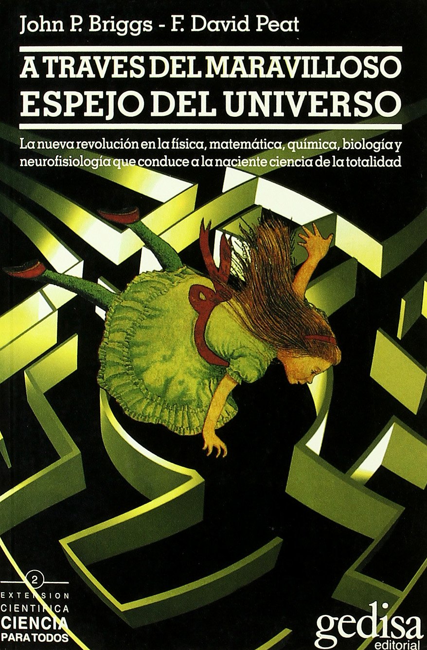 Libro: A través del maravilloso espejo del universo