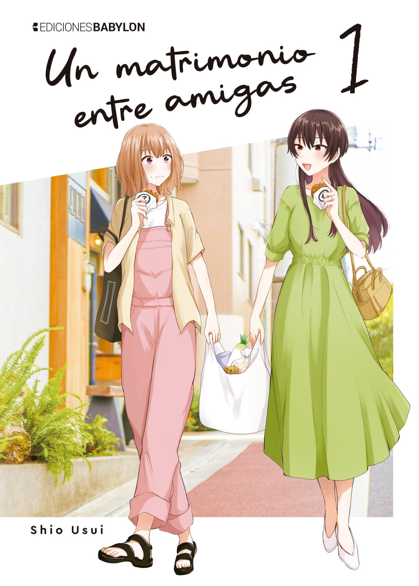 Libro: Un Matrimonio Entre Amigas vol.01