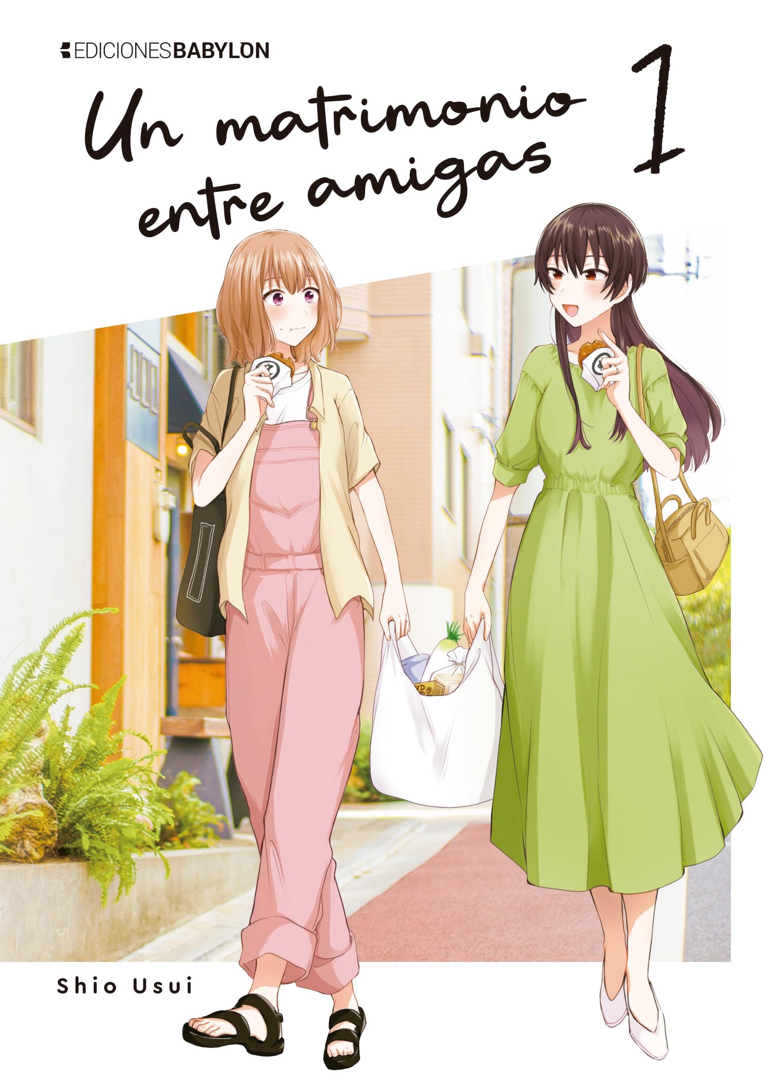 Libro: Un Matrimonio Entre Amigas vol.01