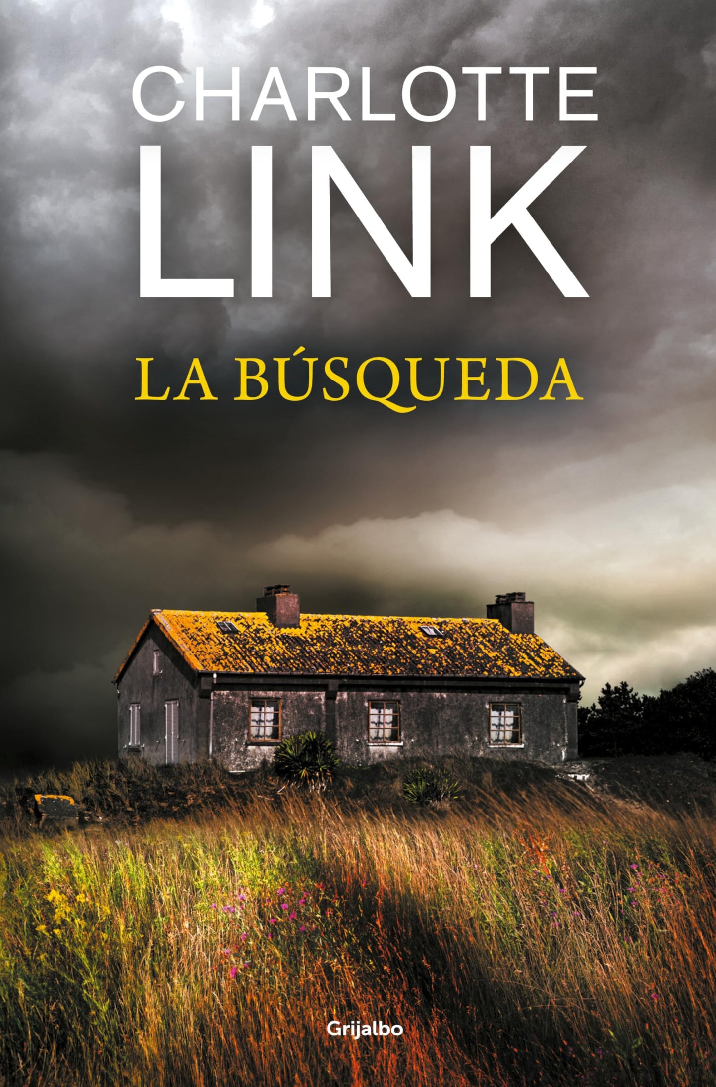 Libro: La búsqueda (Kate Linville & Caleb Hale 2)