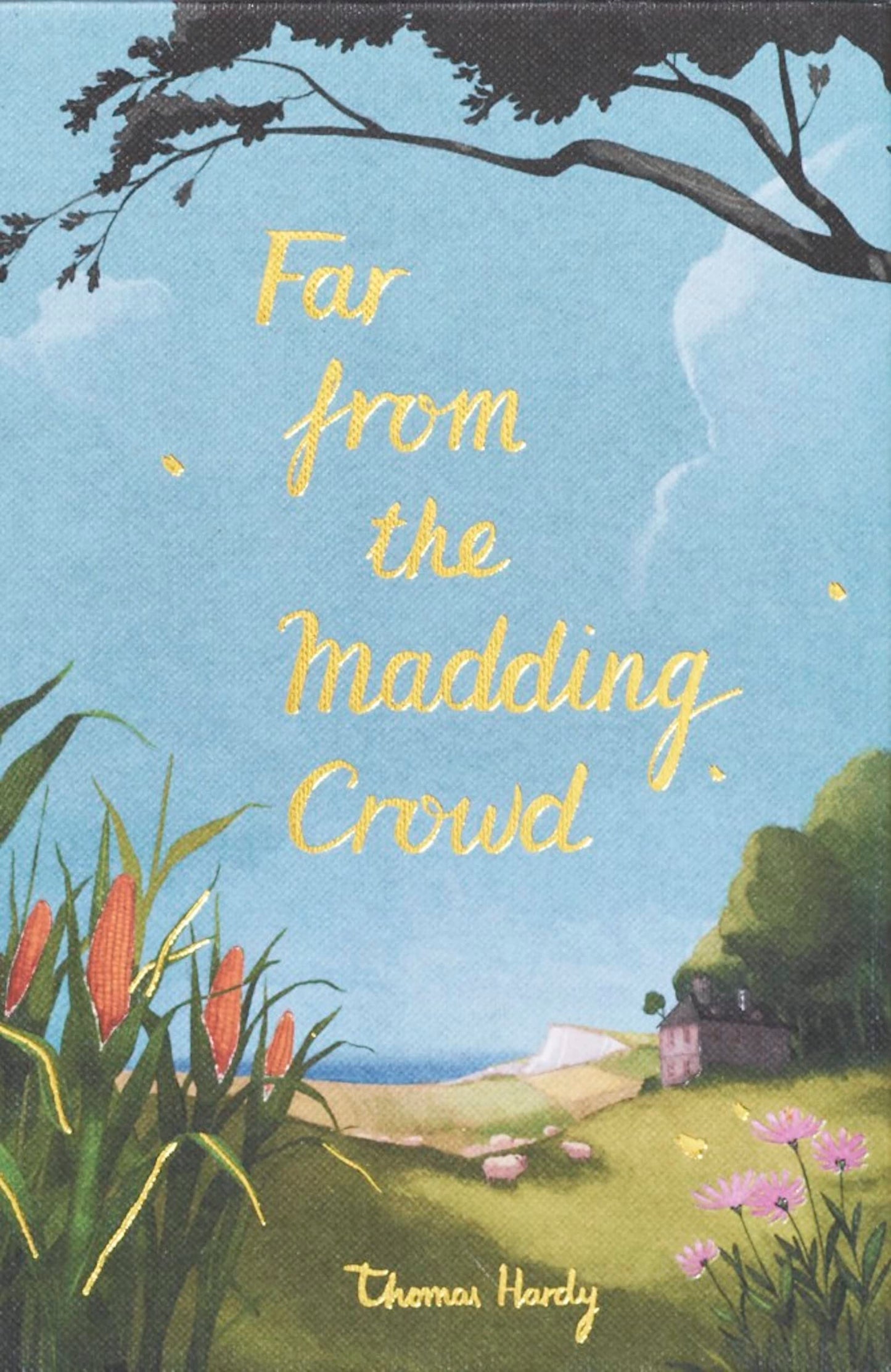 Libro: Far from the Madding Crowd (Wordsworth Collector's Editions)
