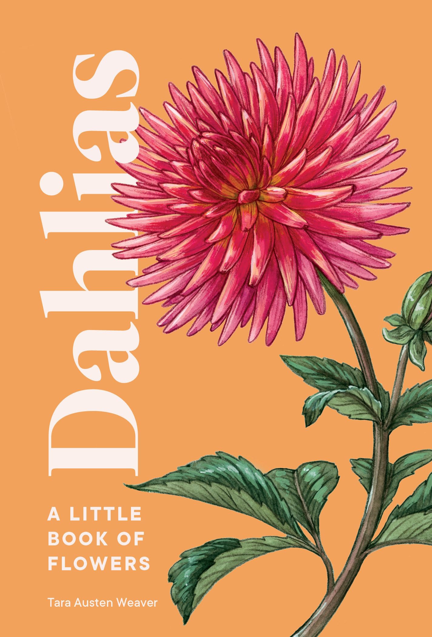Libro: Dahlias: A Little Book of Flowers (Little Book of Natural Wonders)
