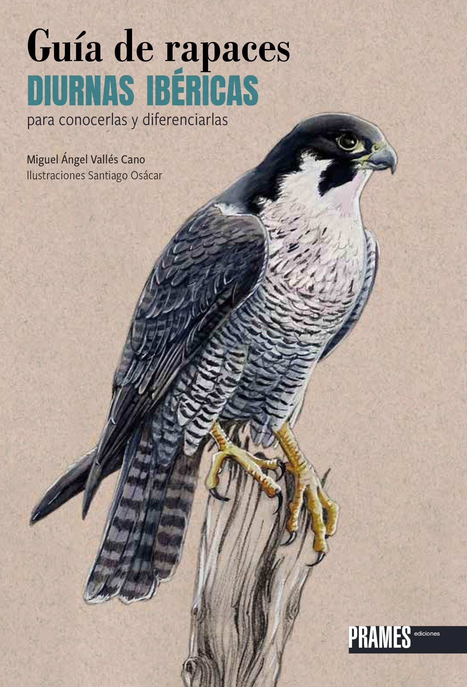 Guía de rapaces diurnas ibéricas para conocerlas y diferenciarlas (GUIAS DE LA NATURALEZA)