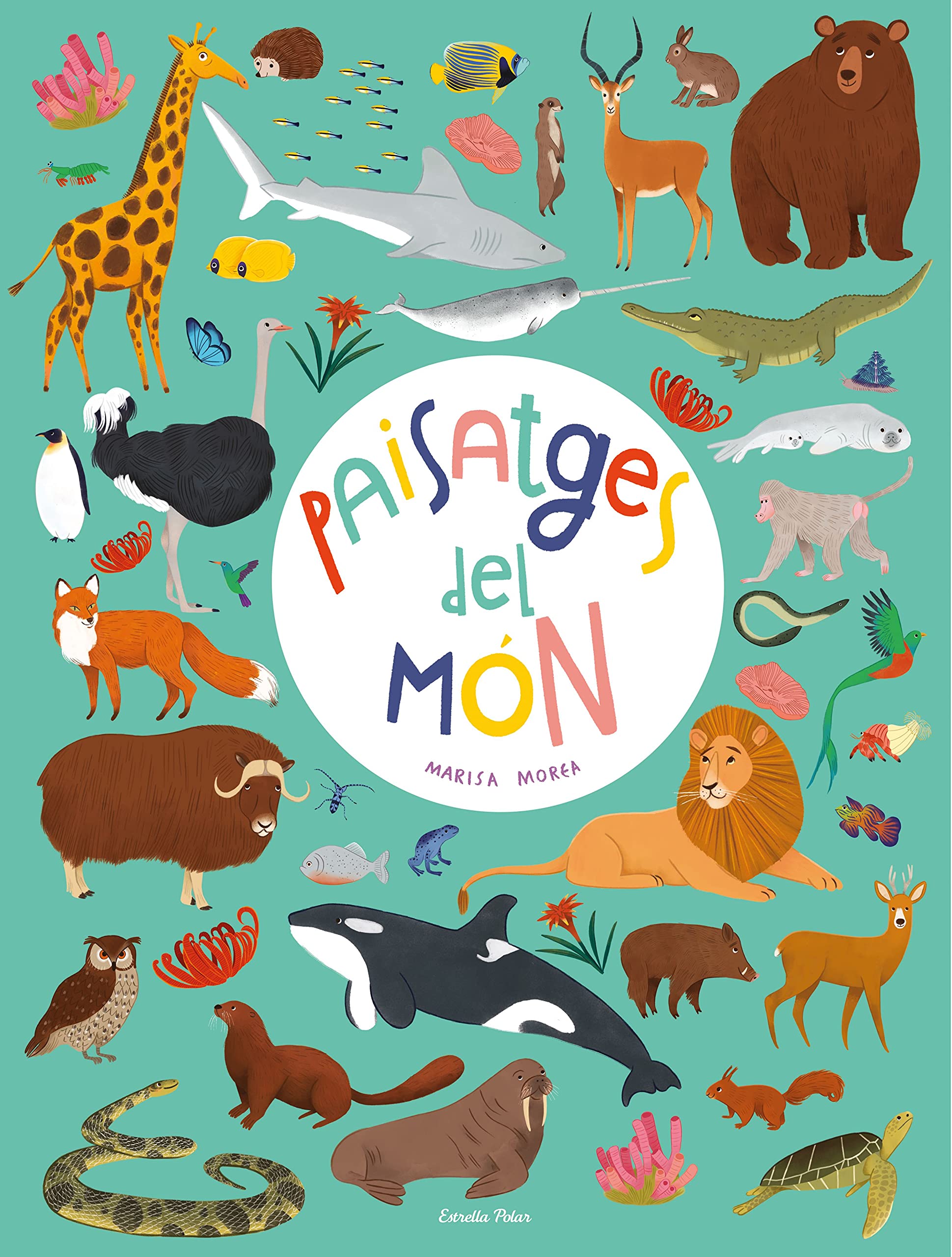Libro: Paisatges del món: Llibre gegant (Llibres per regalar)