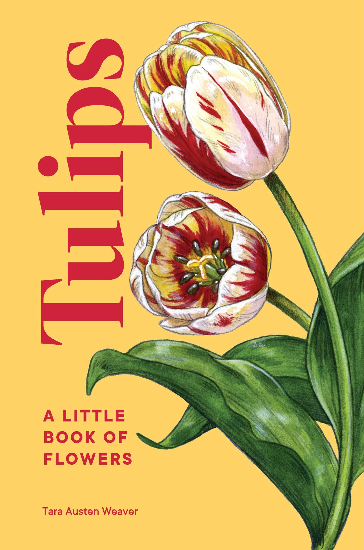 Libro: Tulips: A Little Book of Flowers (Little Book of Natural Wonders)