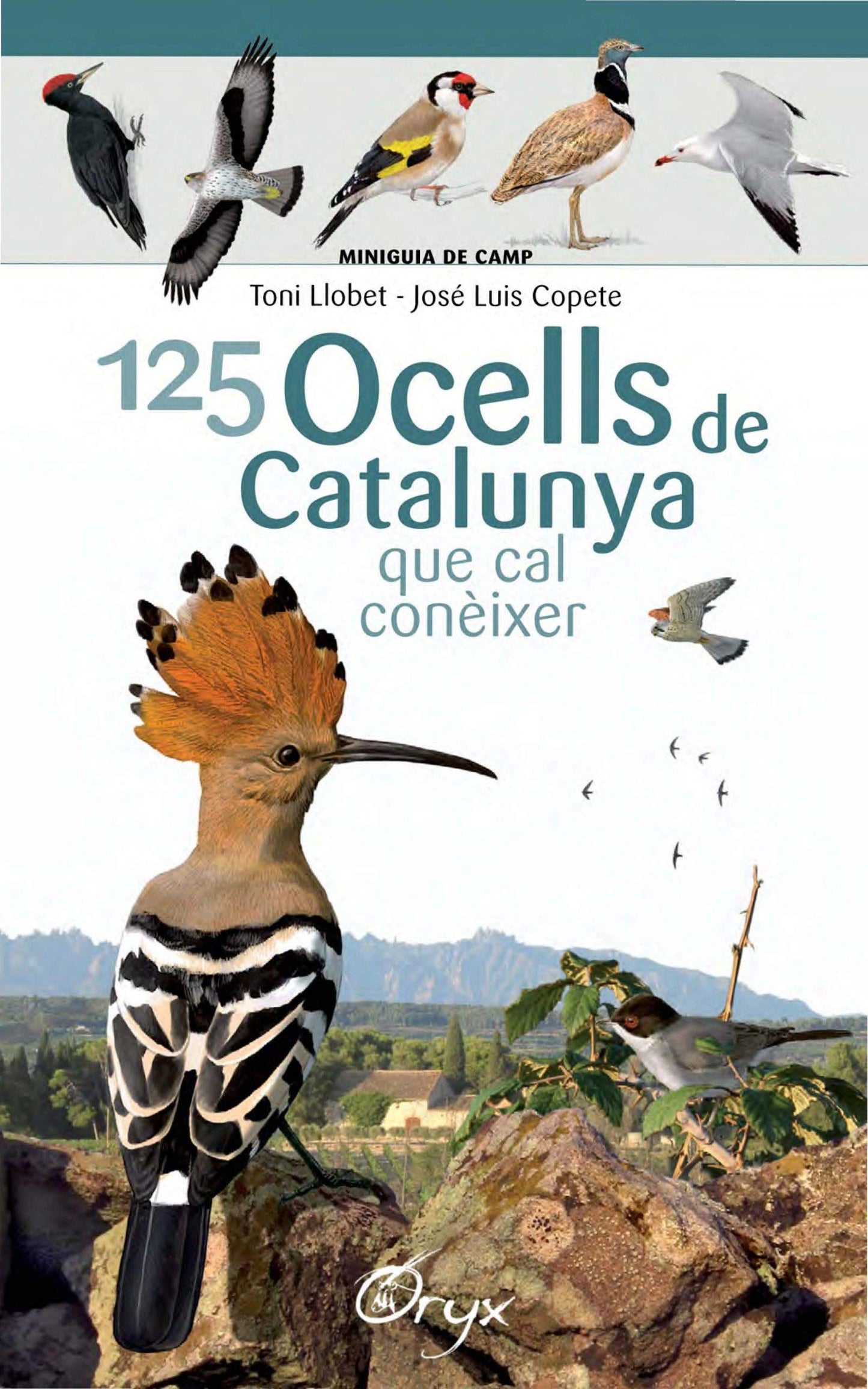 Libro: 125 Ocells De Catalunya: que cal conèixer (Miniguia de camp)