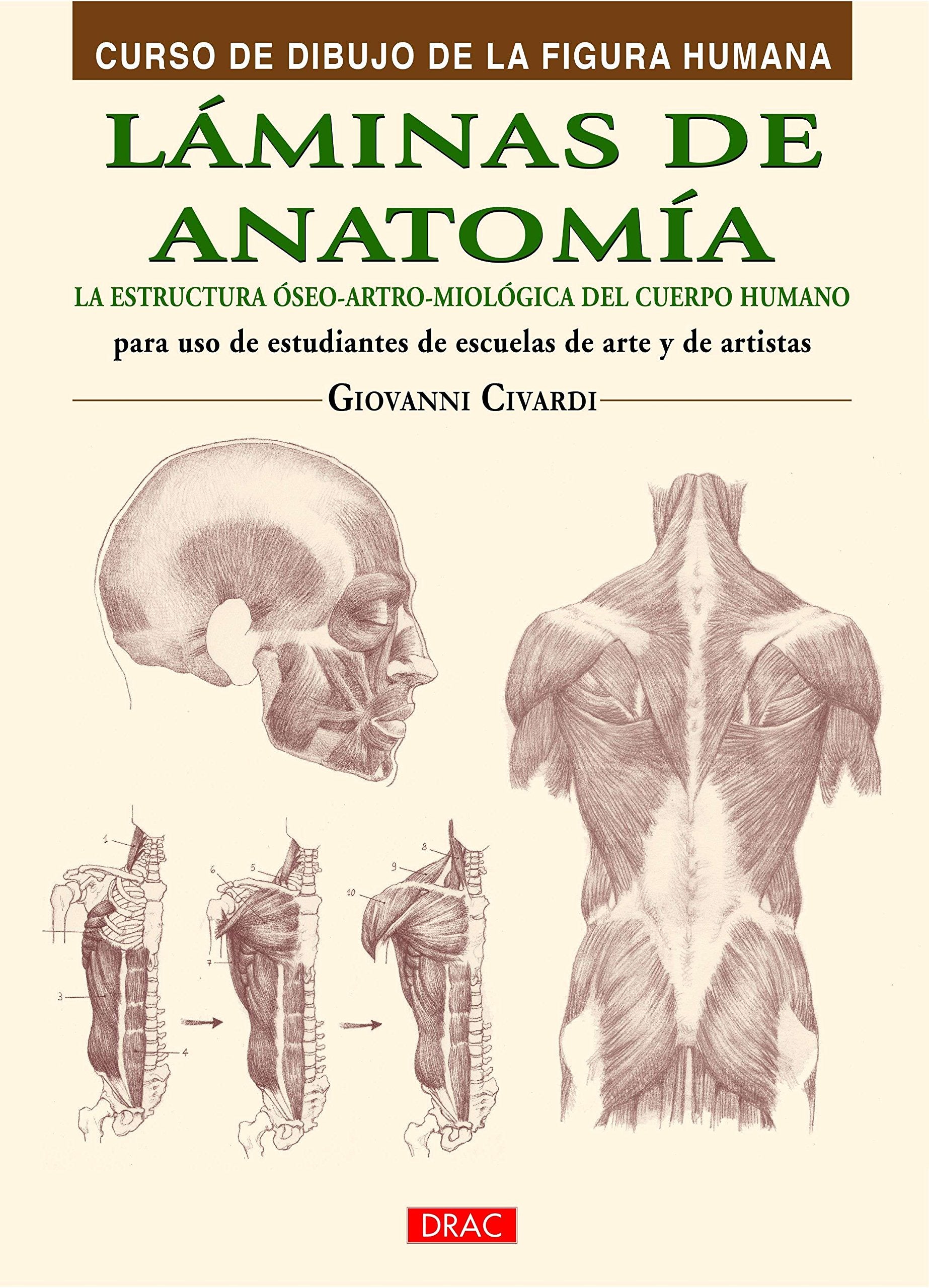 Libro: Curso De Dibujo De La Figura Humana. Láminas De Anatomía: La estructura óseo-artro-miológica del cuerpo humano