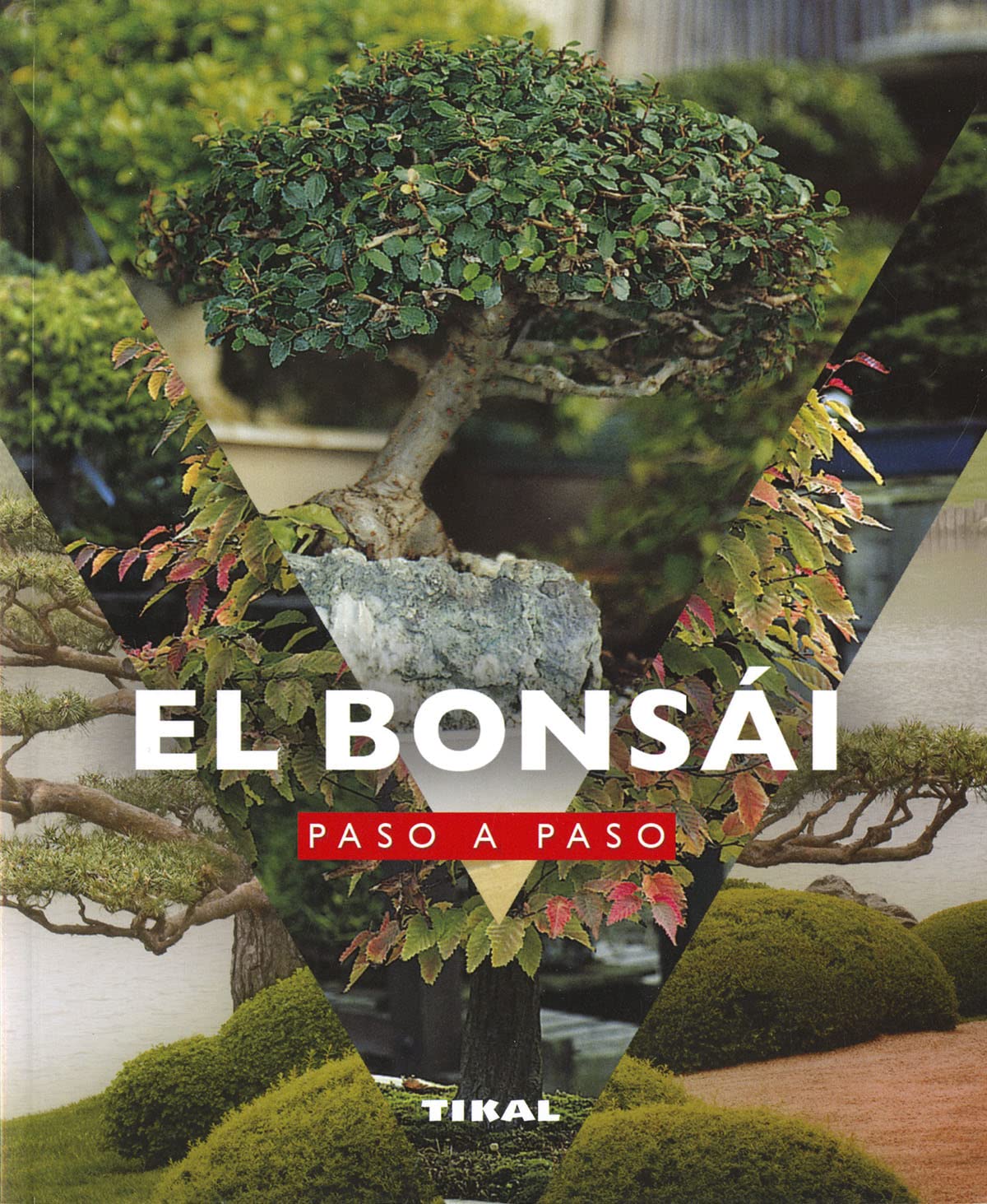Libro: El bonsái paso a paso