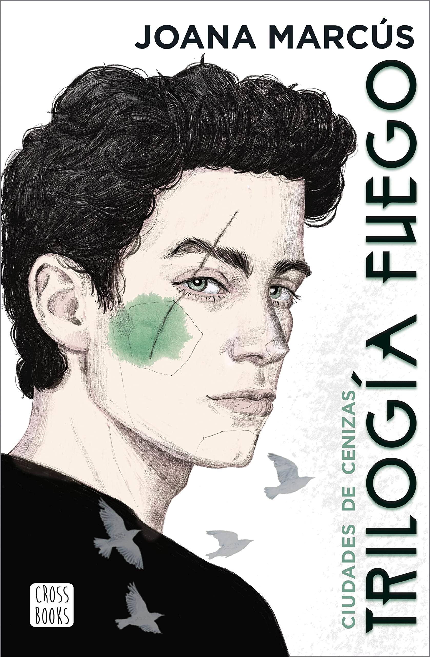 Libro: Trilogía Fuego 2. Ciudades de cenizas (Ficción)