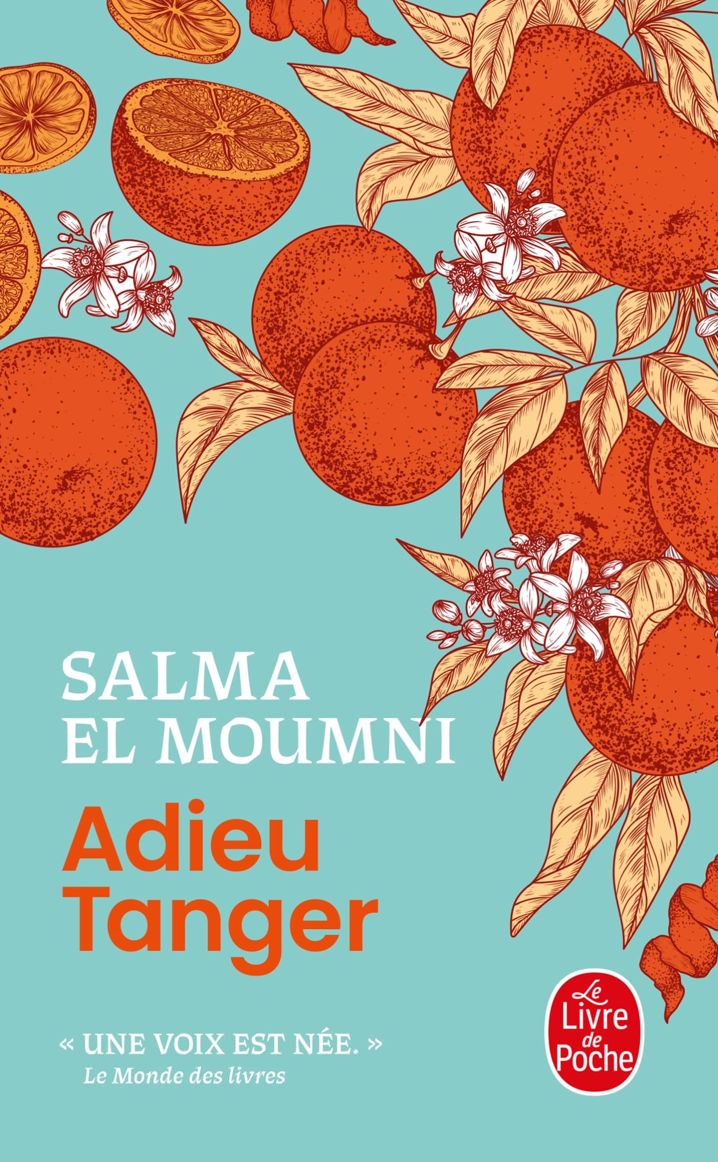 Libro: Adieu Tanger