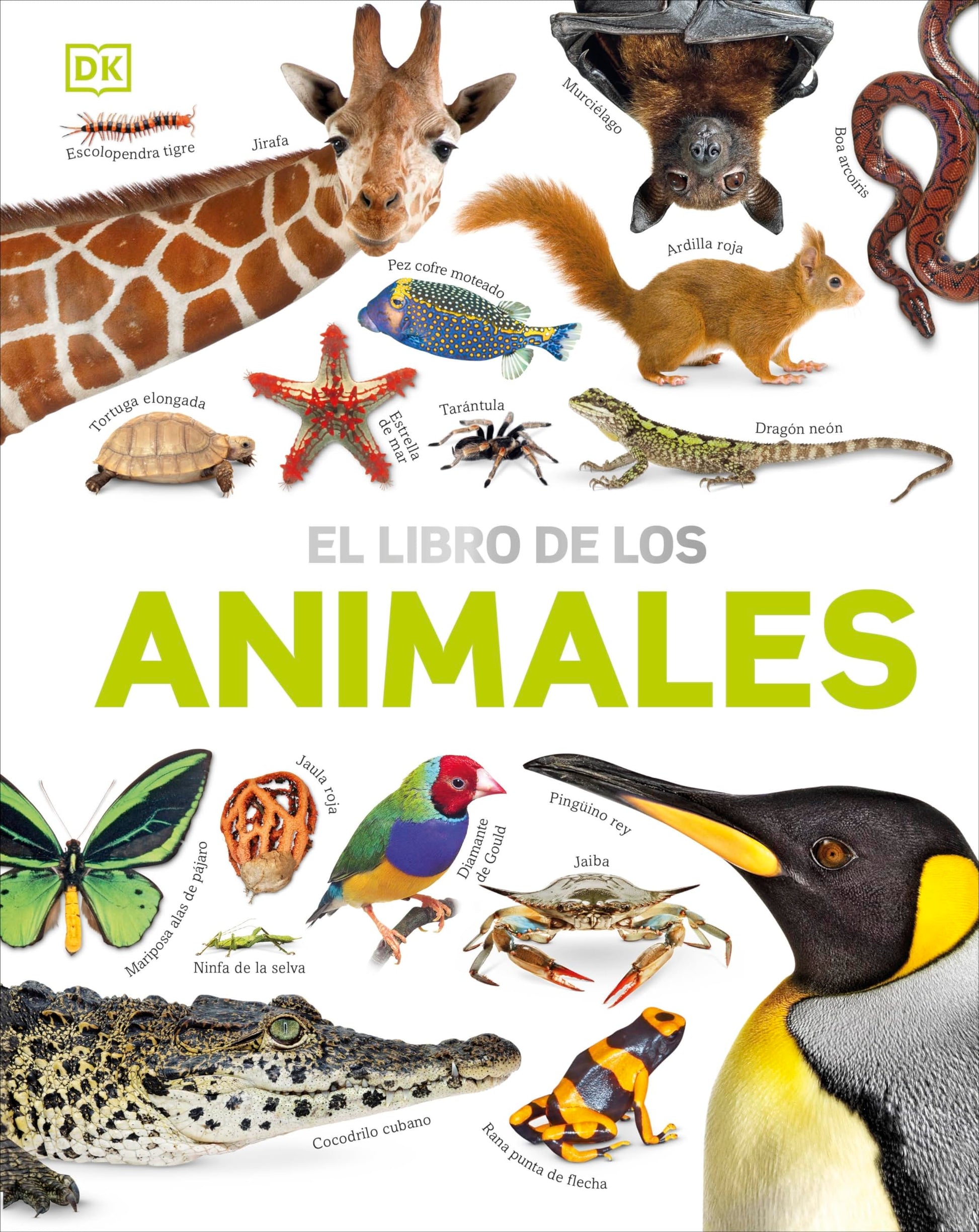 Libro: El libro de los animales (Enciclopedia visual juvenil)